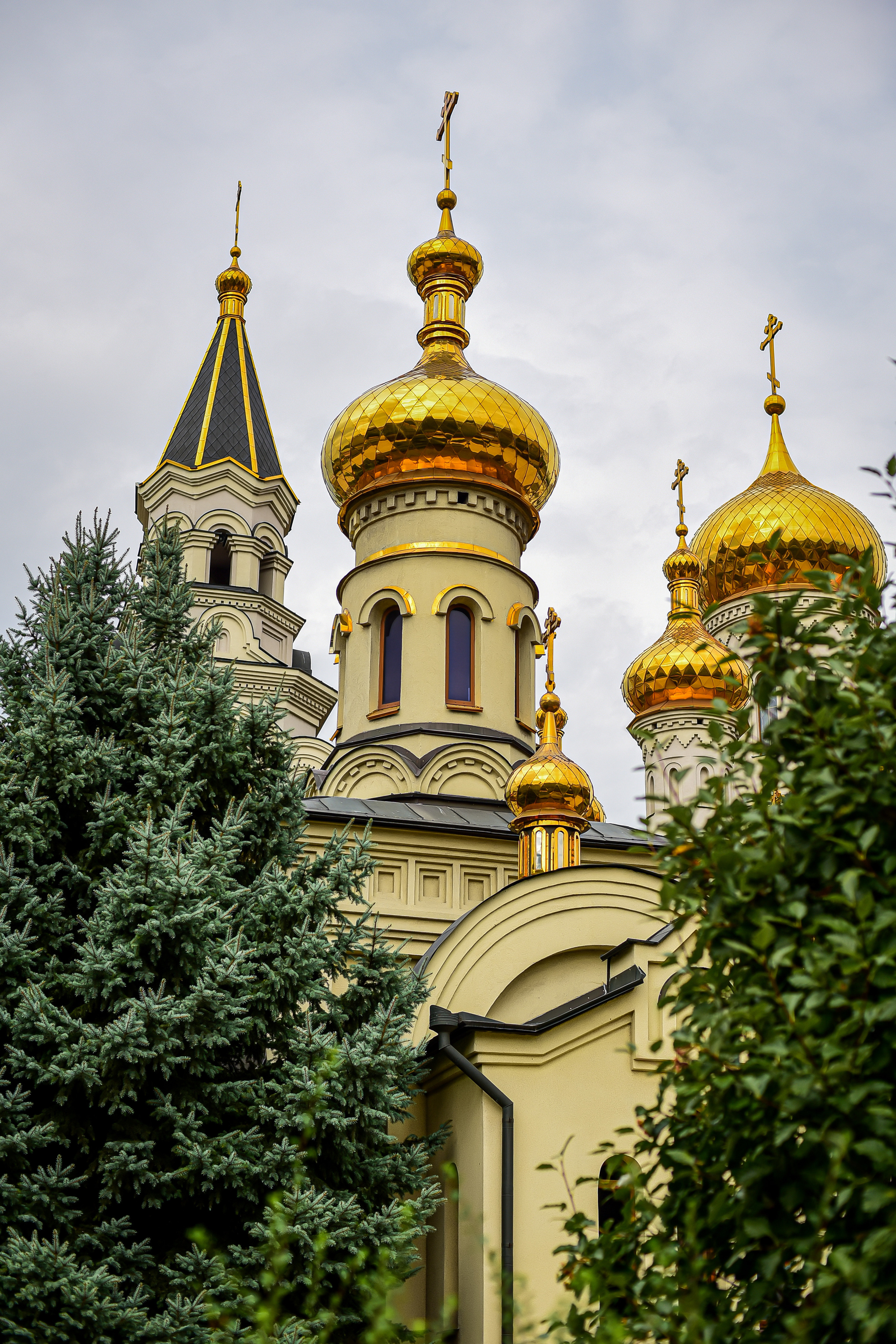 Детские фотографии. Семейный и свадебный фотограф в Донецке Донская Анастасия