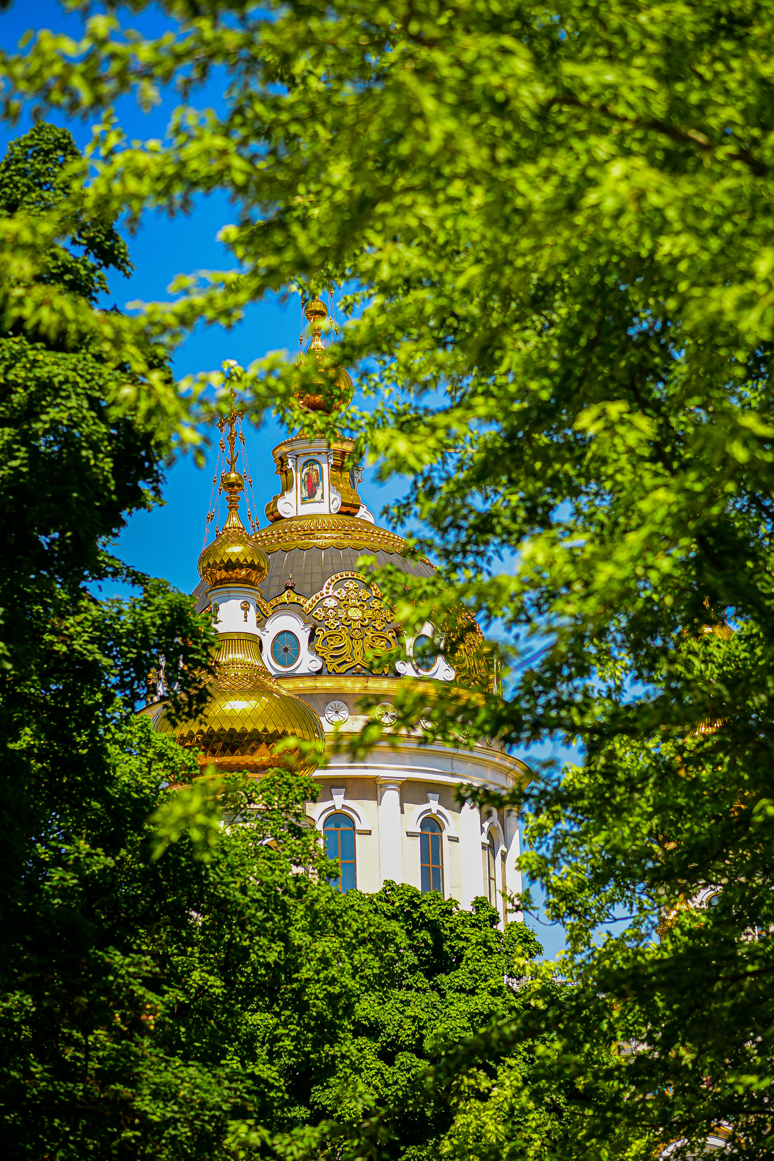 Природа. Семейный и свадебный фотограф в Донецке Донская Анастасия