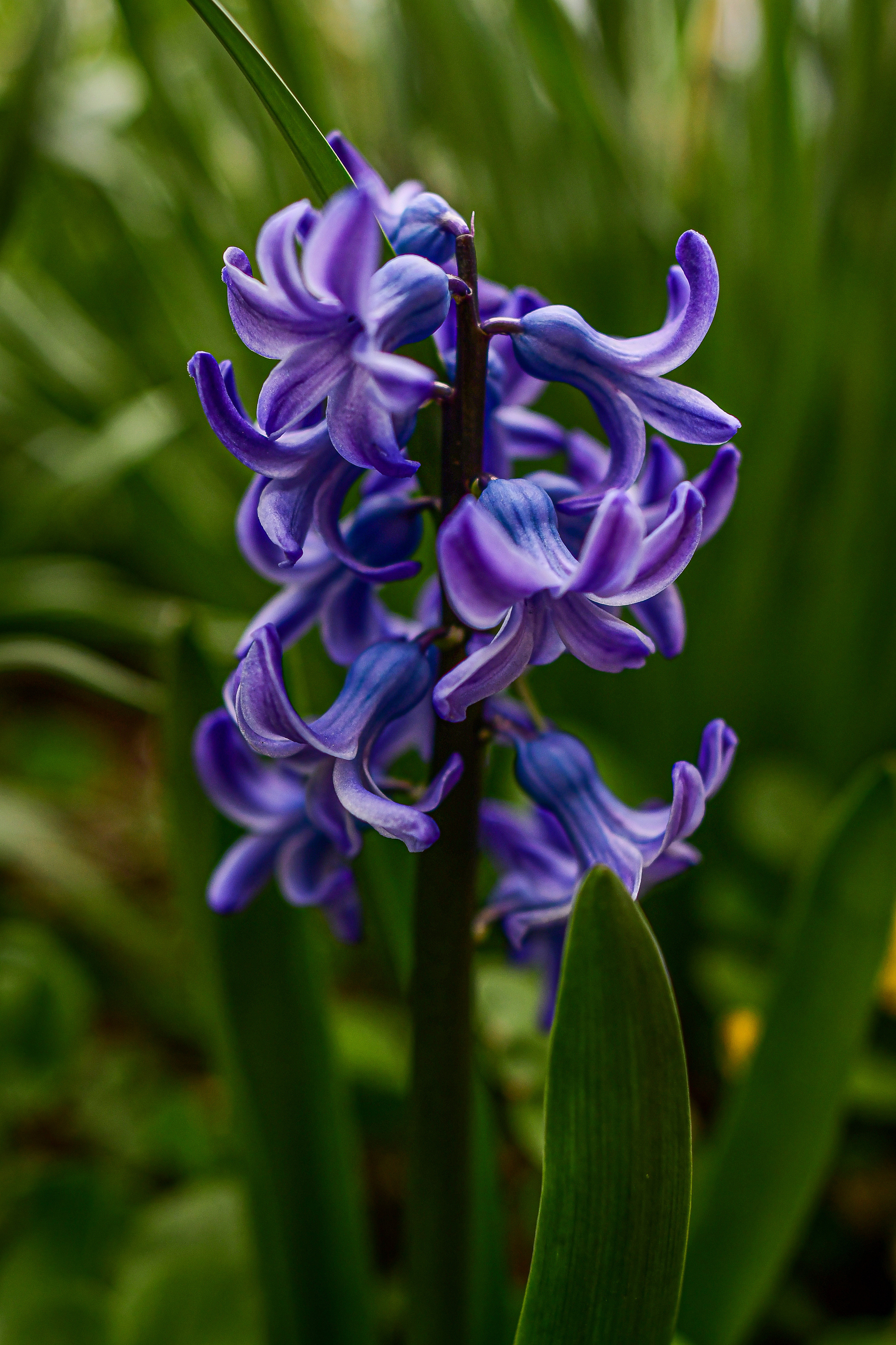 Природа. Семейный и свадебный фотограф в Донецке Донская Анастасия