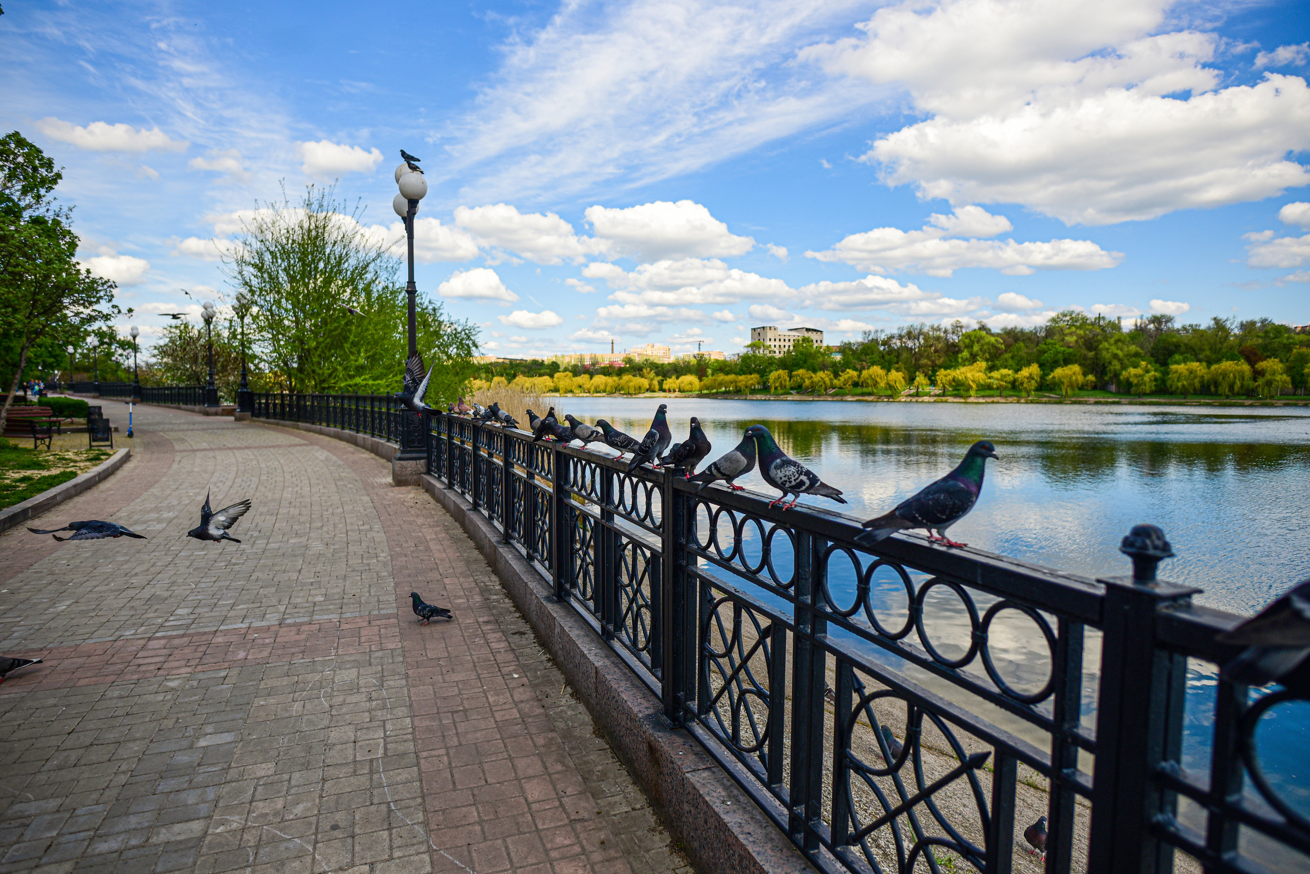 Природа. Семейный и свадебный фотограф в Донецке Донская Анастасия