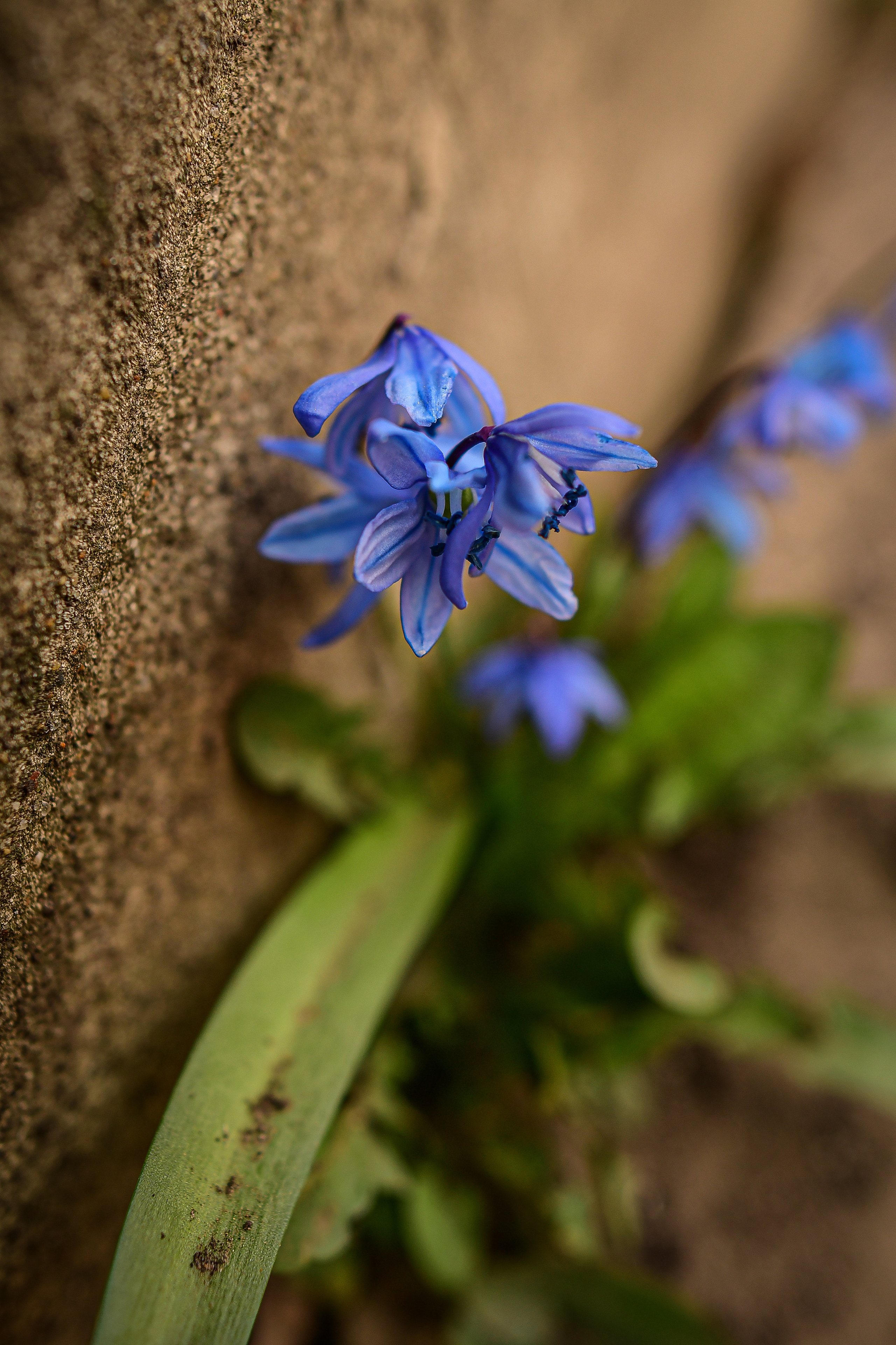 Природа. Семейный и свадебный фотограф в Донецке Донская Анастасия