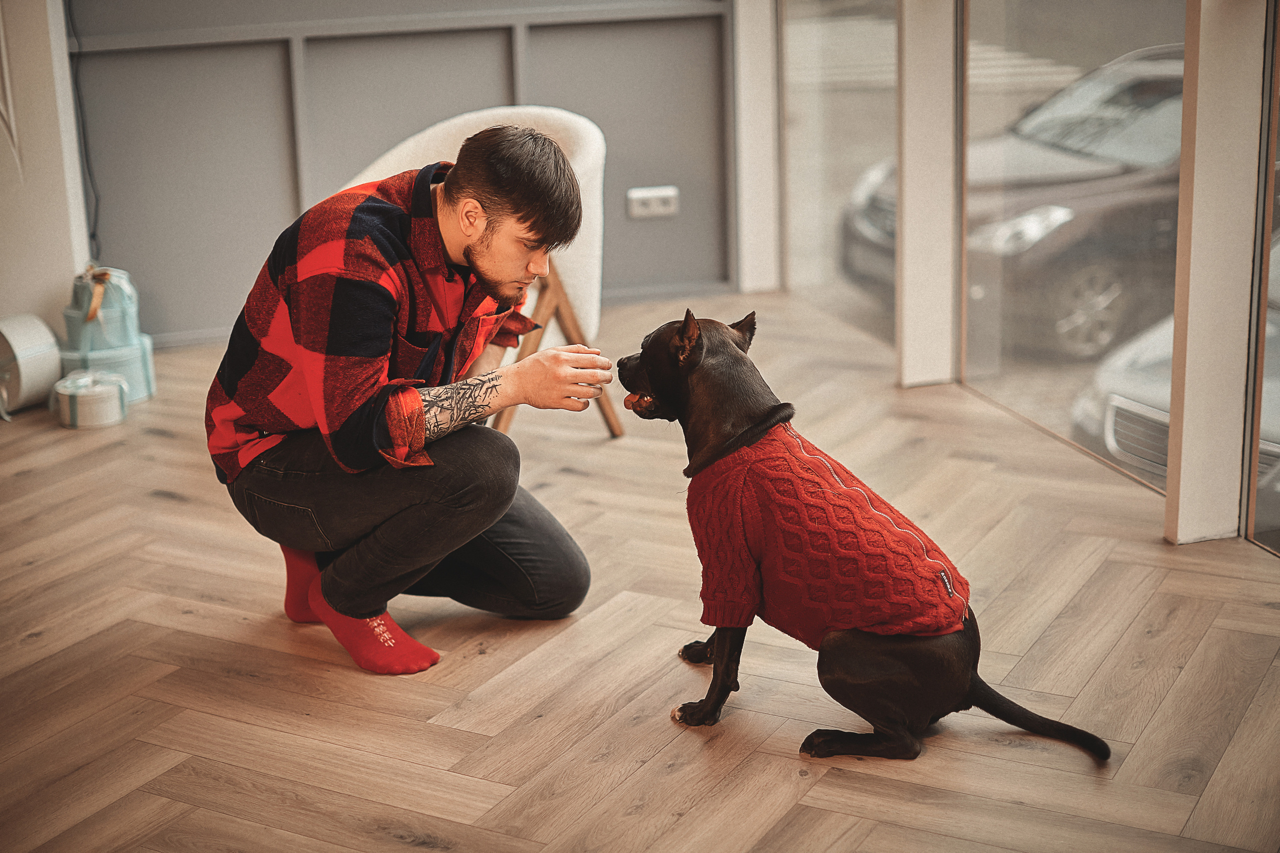 Фотосессия с животными. Семейный и свадебный фотограф в Донецке Донская Анастасия