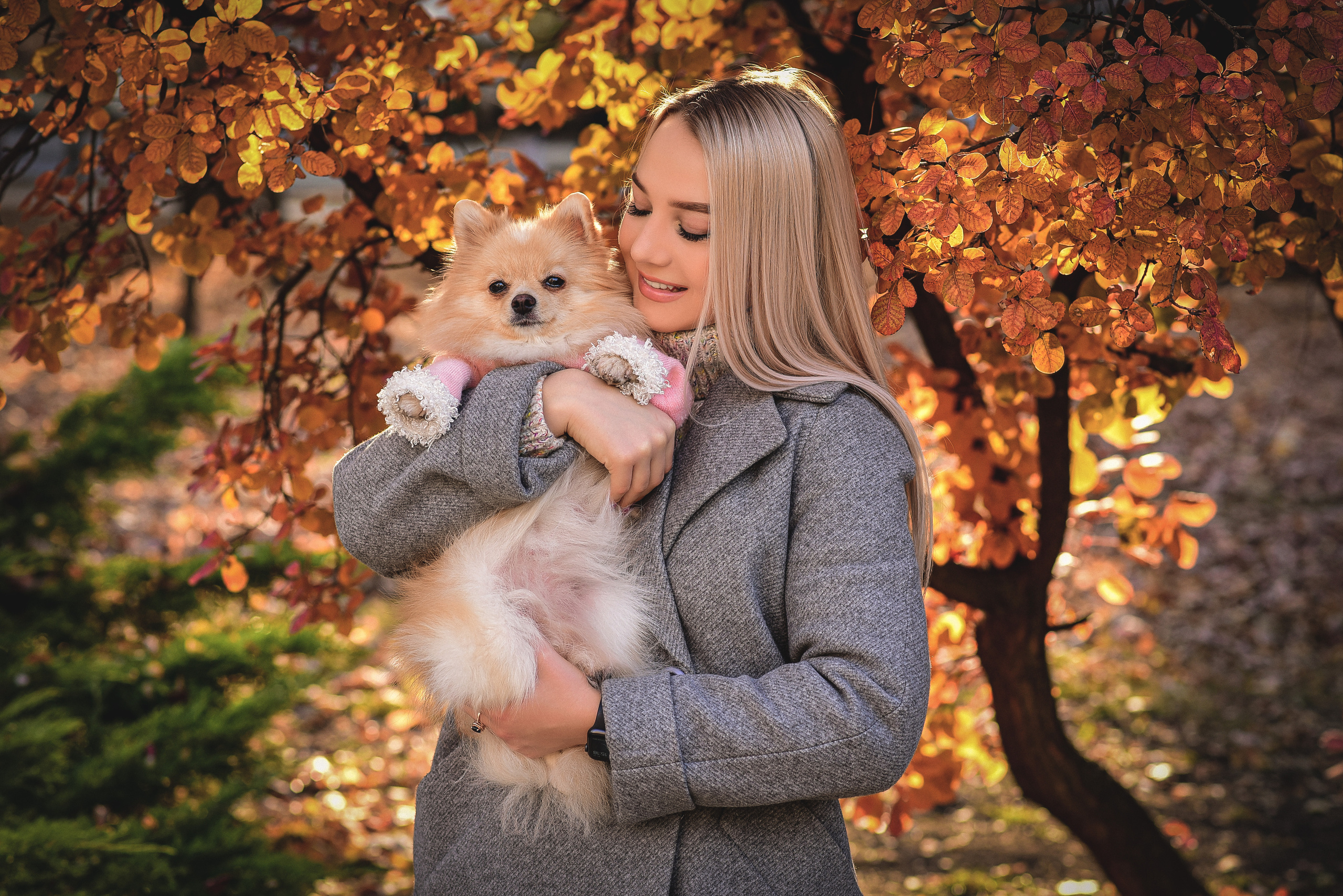 Фотосессия с животными. Семейный и свадебный фотограф в Донецке Донская Анастасия