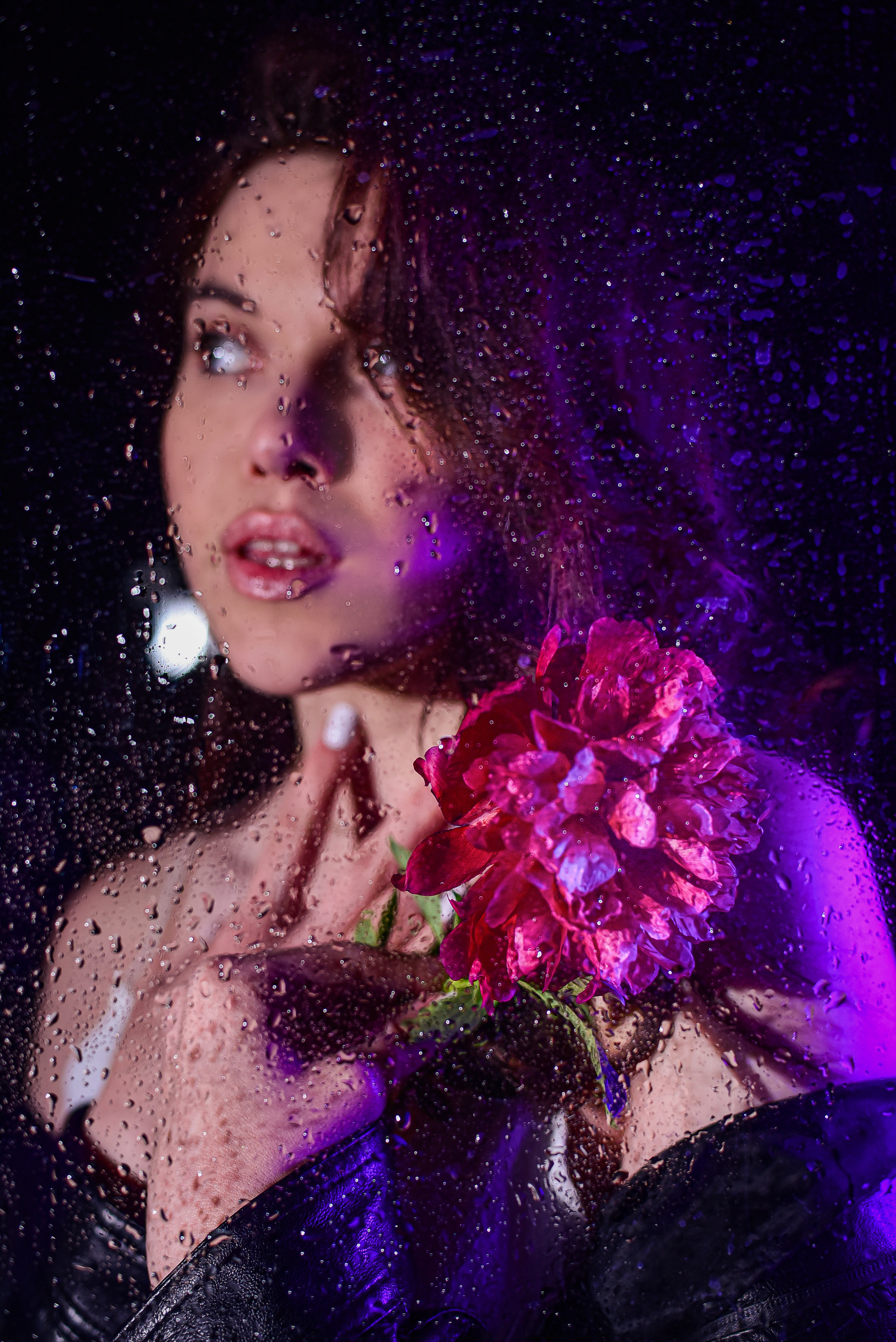 Фоновая студия. Семейный и свадебный фотограф в Донецке Донская Анастасия