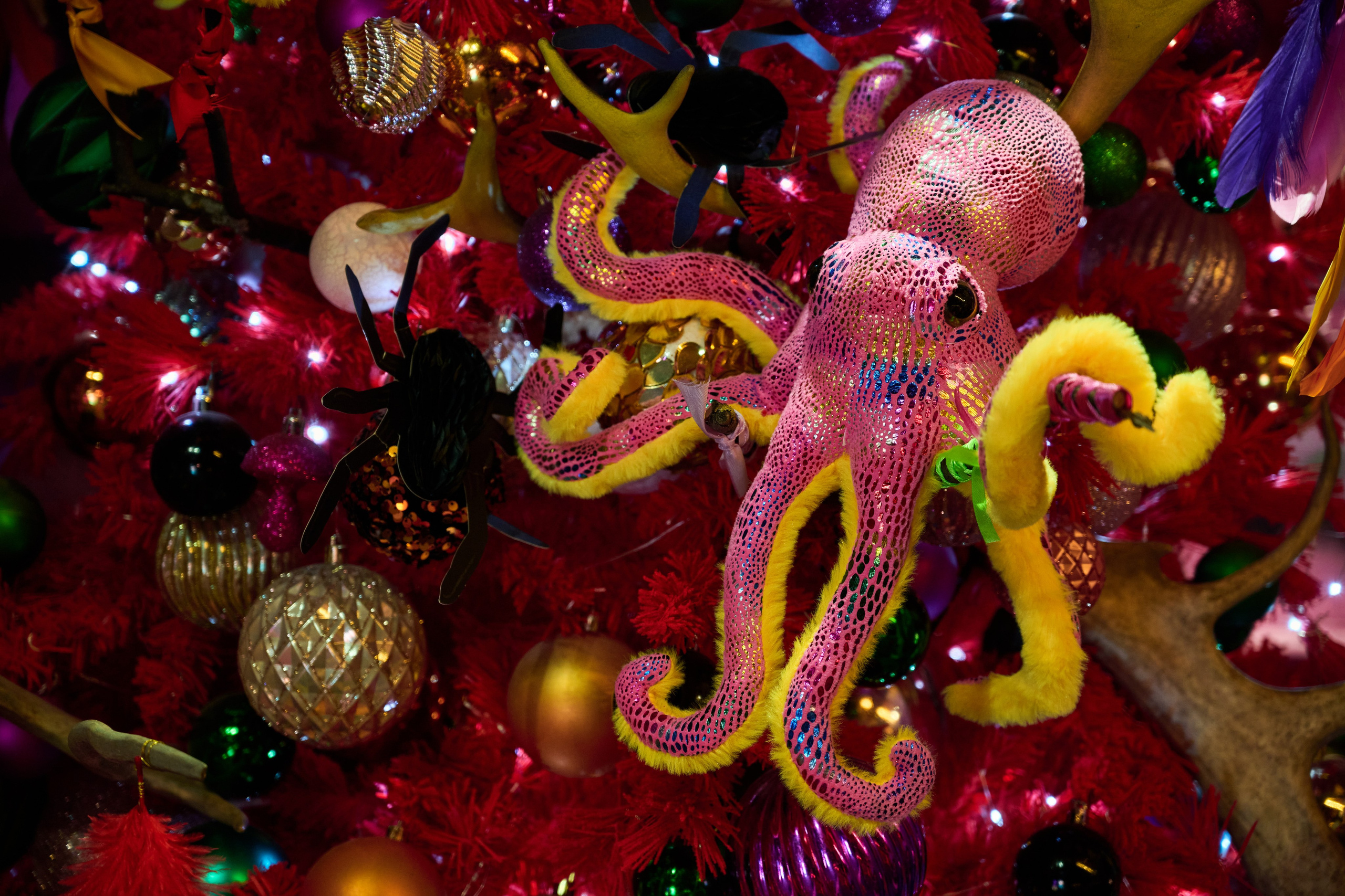 Интерьеры Усадьбы Деда Мороза. Никита Хохловский фото и видео продакшн