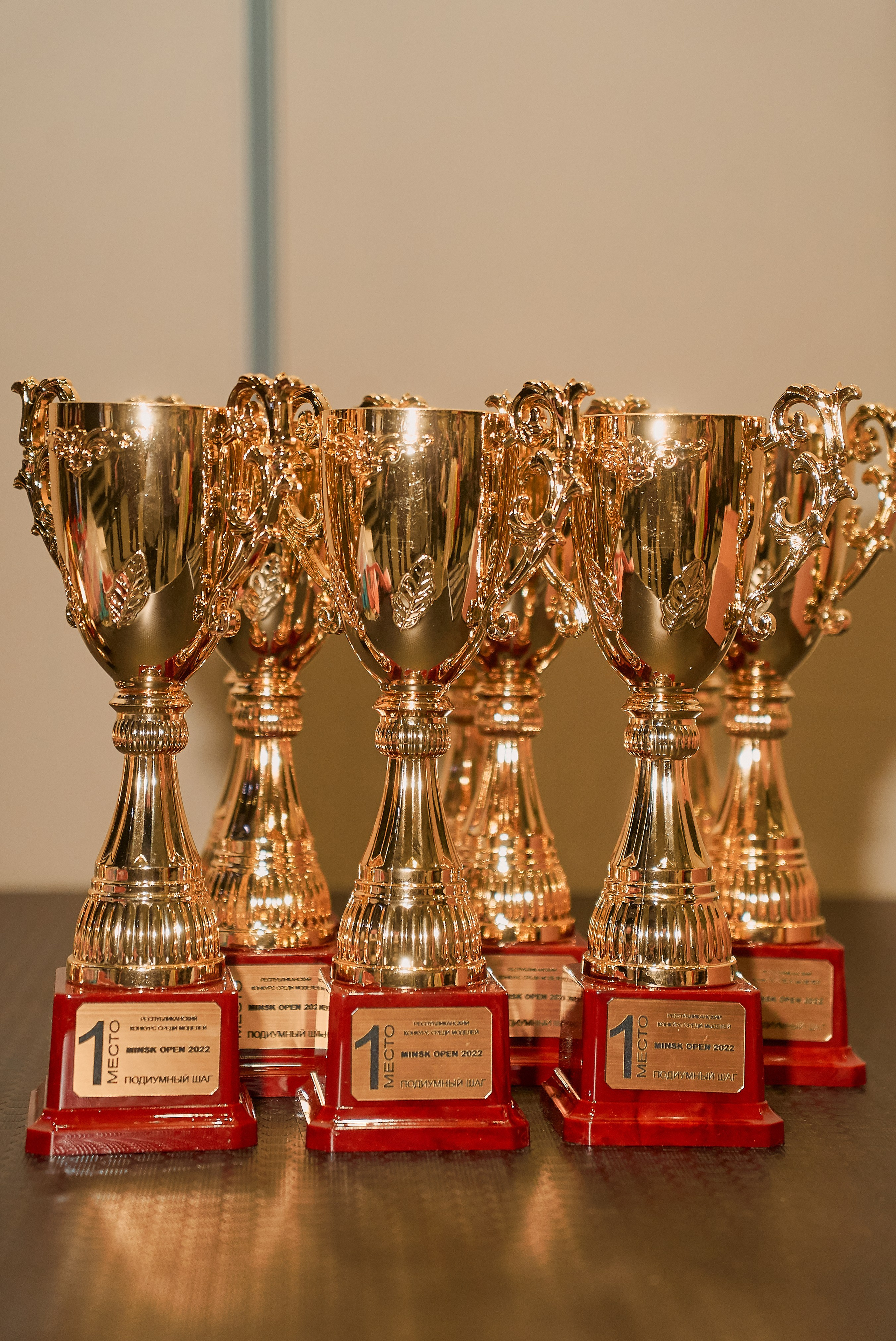 Шоу моды и костюма «Лига моделей» г. Минск. Профессиональный фотограф в Минске Пискунова Марина