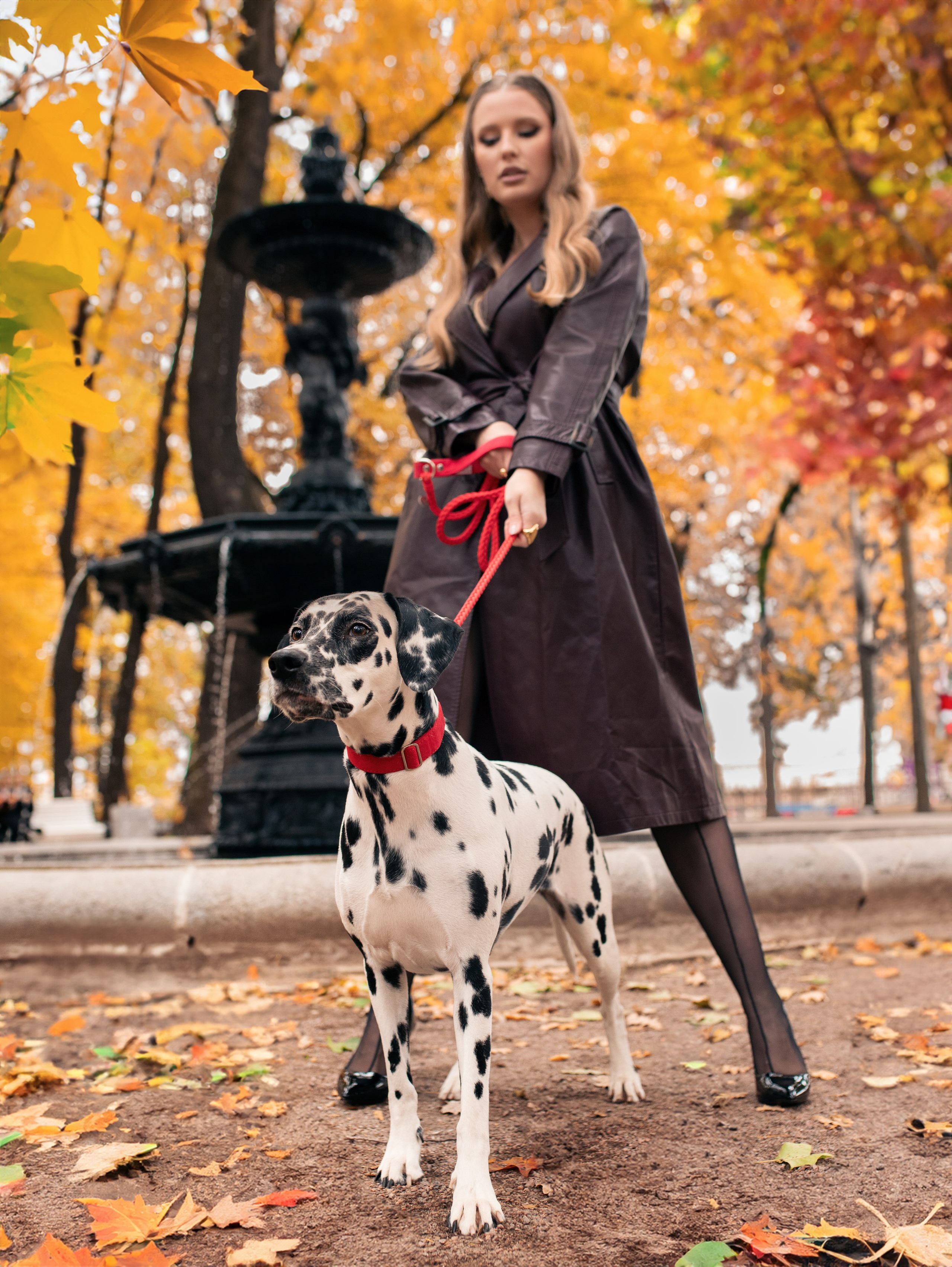 Осенняя Валерия. Семейный фотограф в Санкт-Петербурге Ирина Иванова