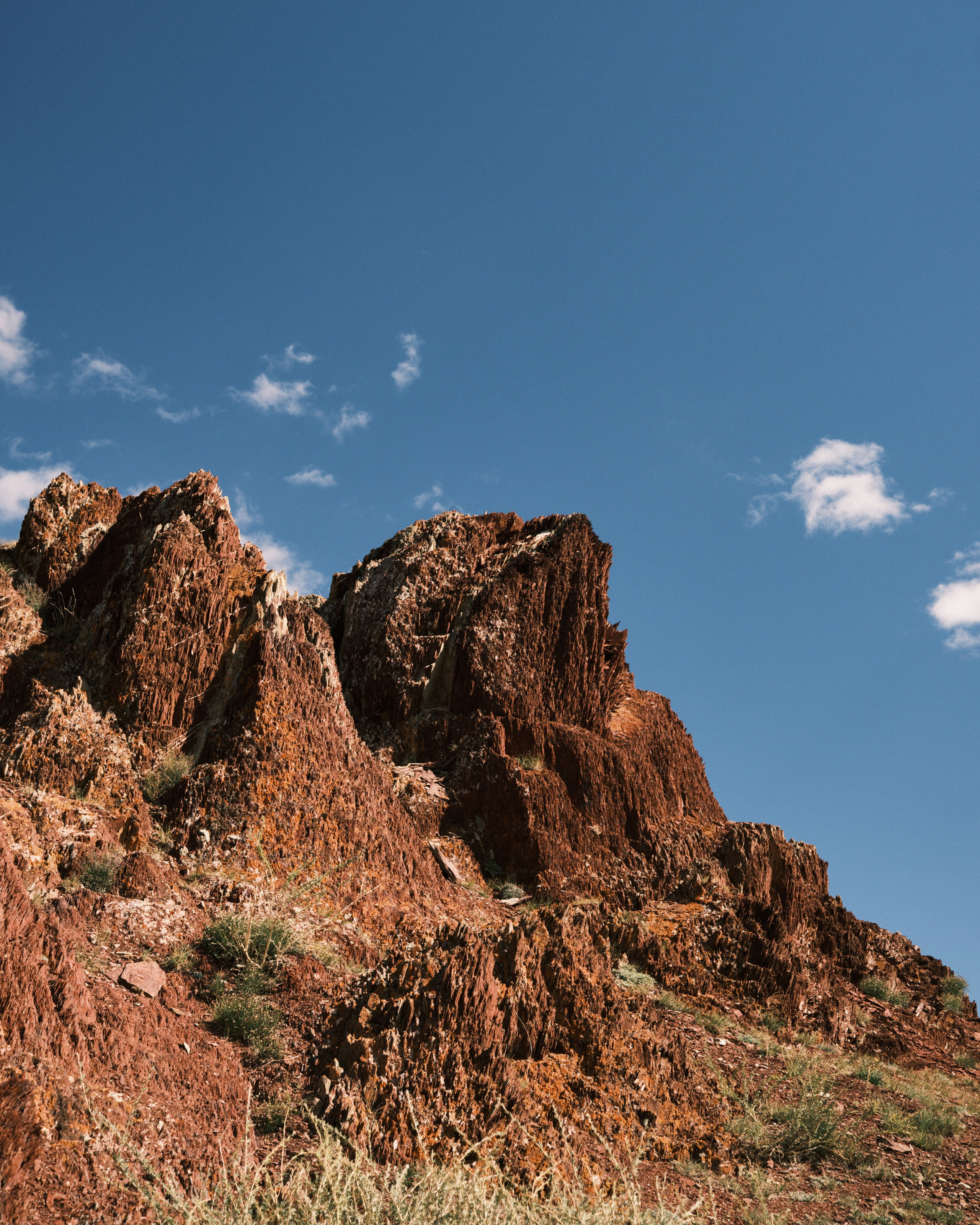 Природа. Антон Ив