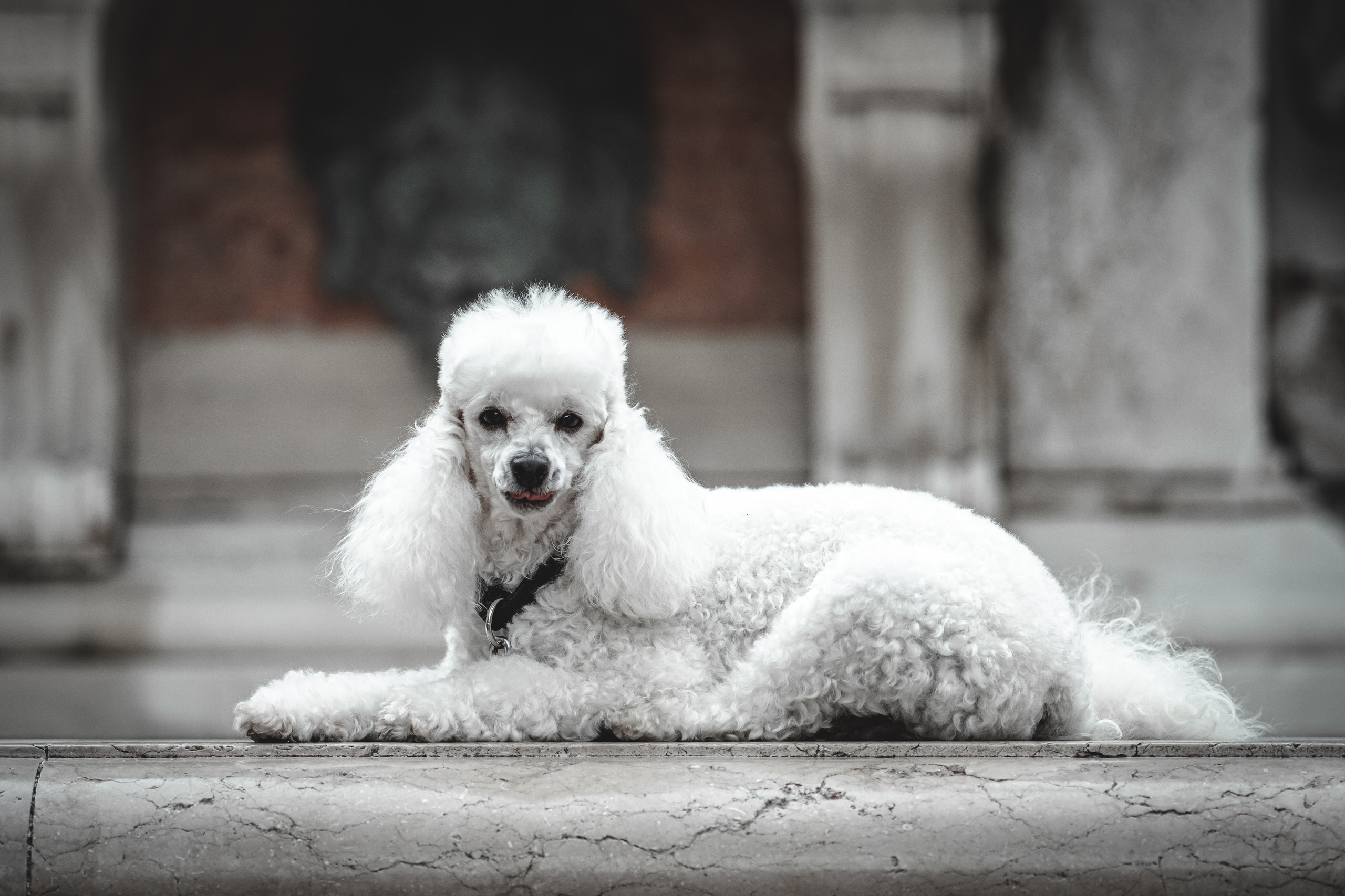 Bologna, may 2019. Фотографии Дмитрия Чернова