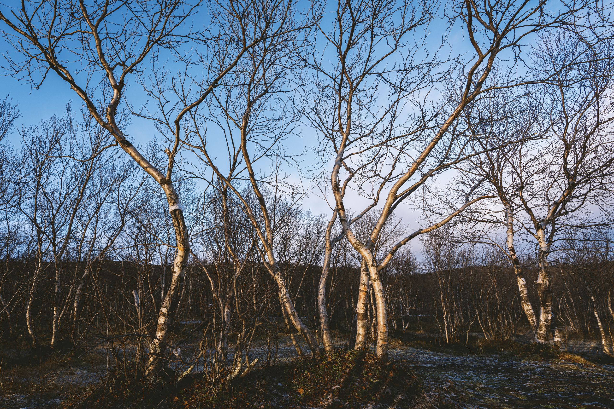 Полуострова Средний и Рыбачий. Фотографии Дмитрия Чернова