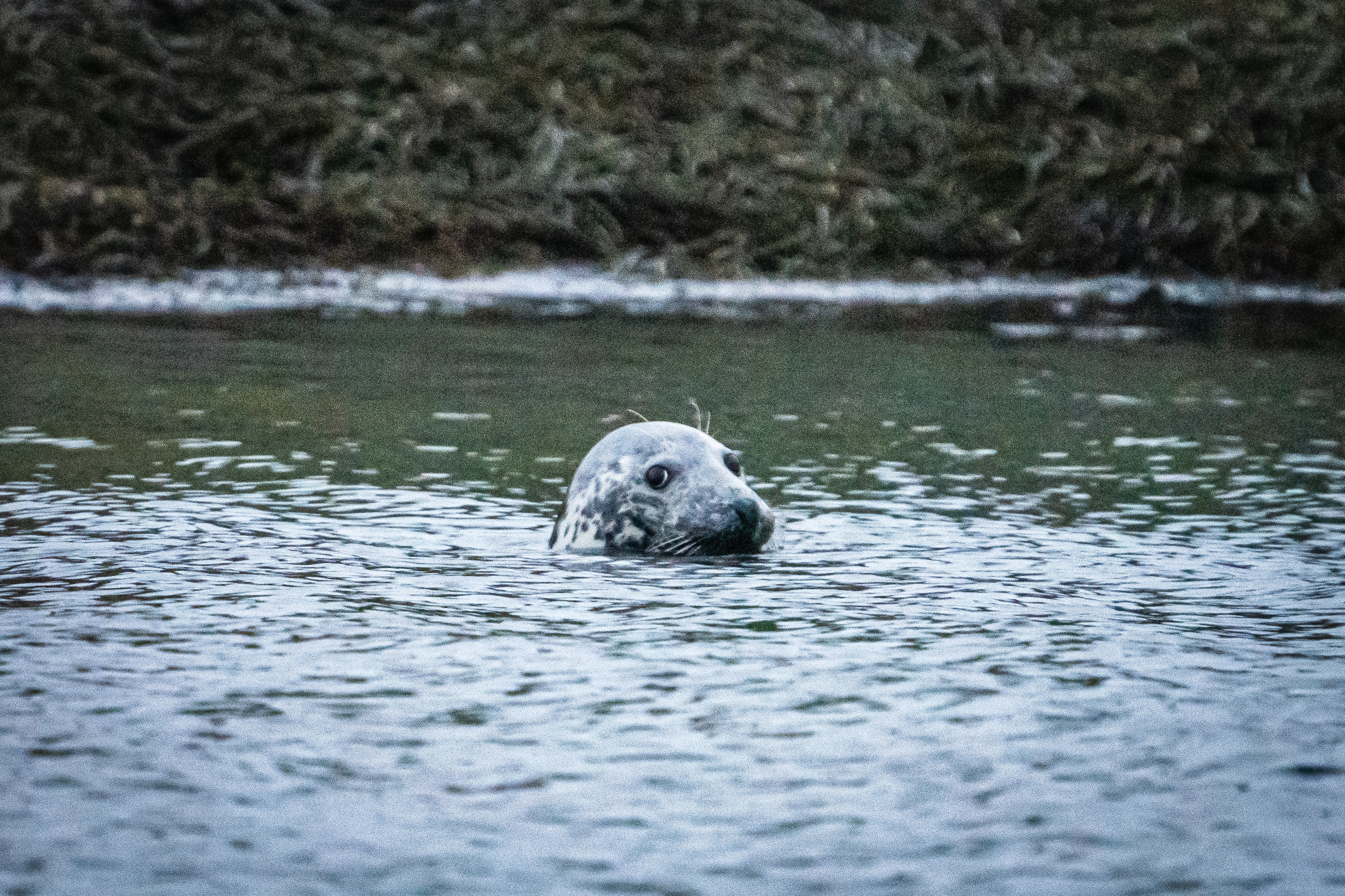 Полуострова Средний и Рыбачий. Фотографии Дмитрия Чернова
