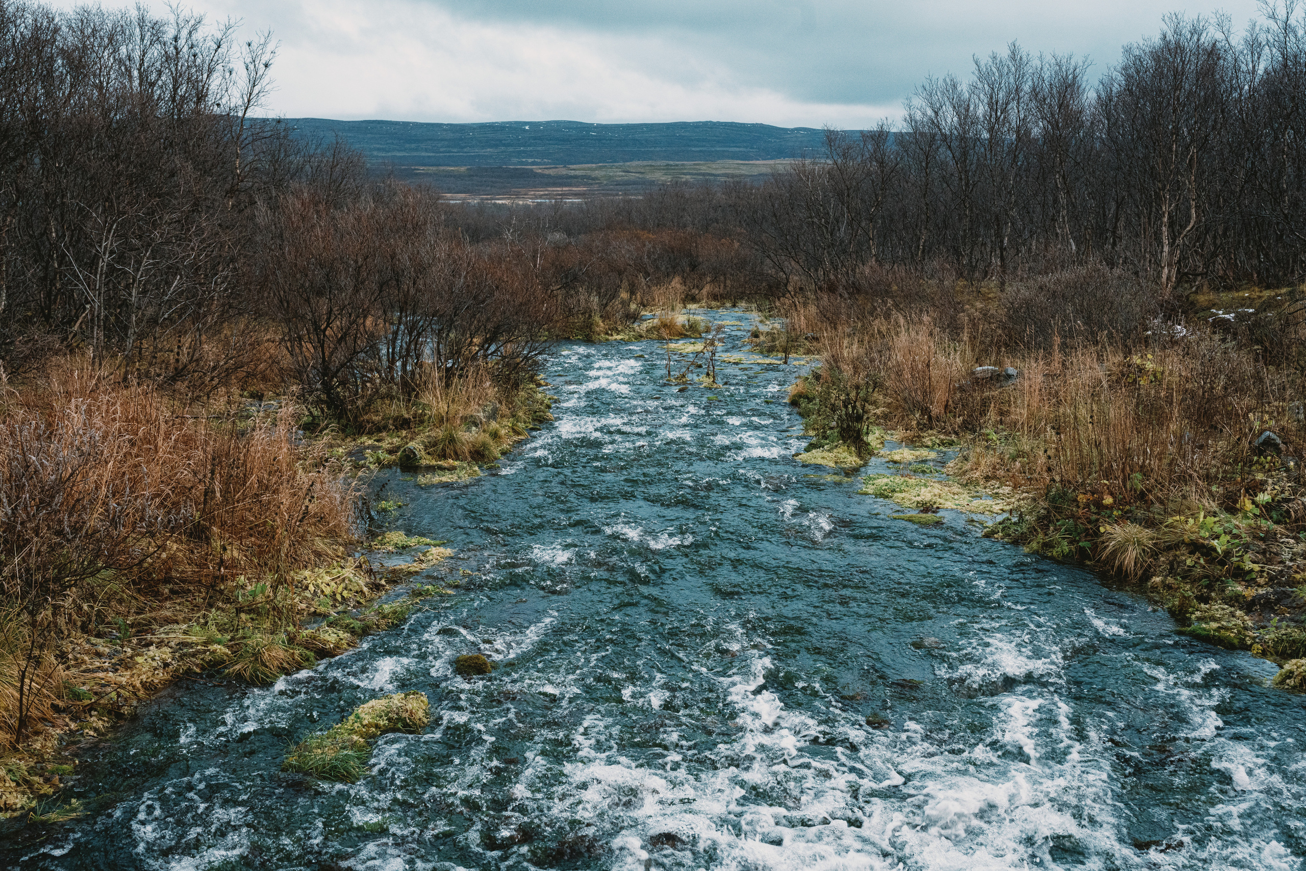 Полуострова Средний и Рыбачий. Фотографии Дмитрия Чернова