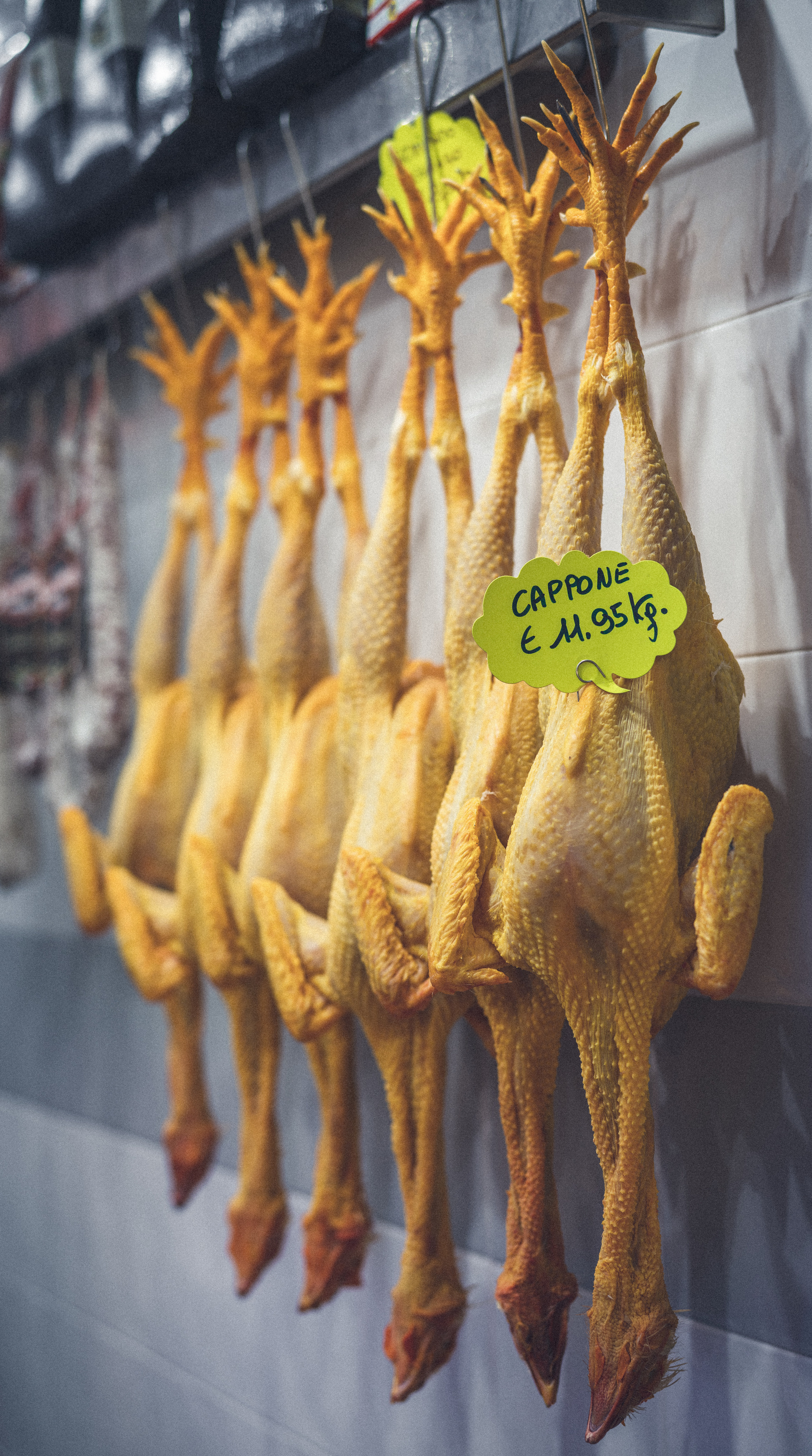 Bologna, may 2019. Фотографии Дмитрия Чернова