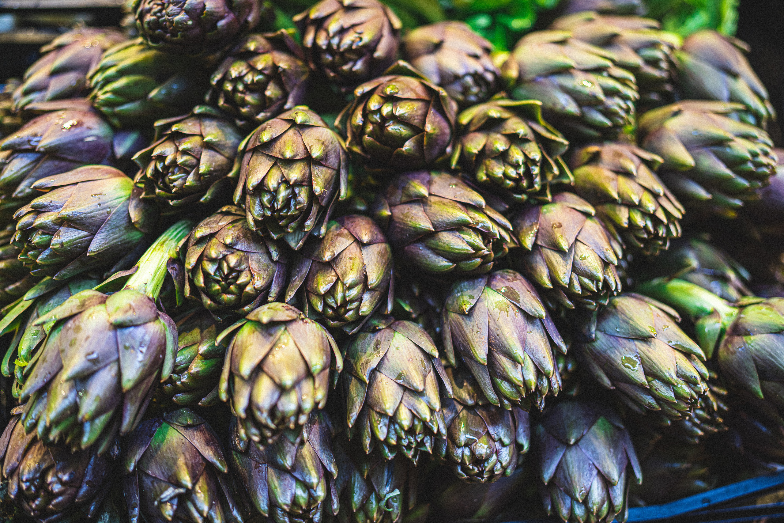 Bologna, may 2019. Фотографии Дмитрия Чернова