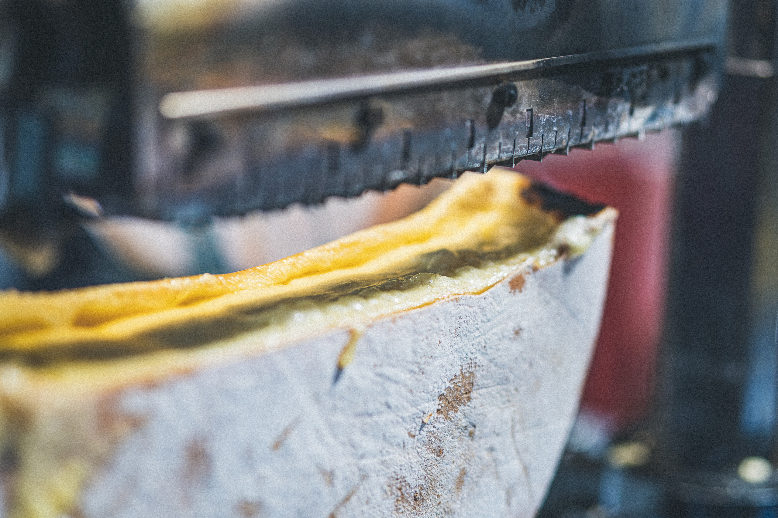 Bologna, may 2019. Фотографии Дмитрия Чернова