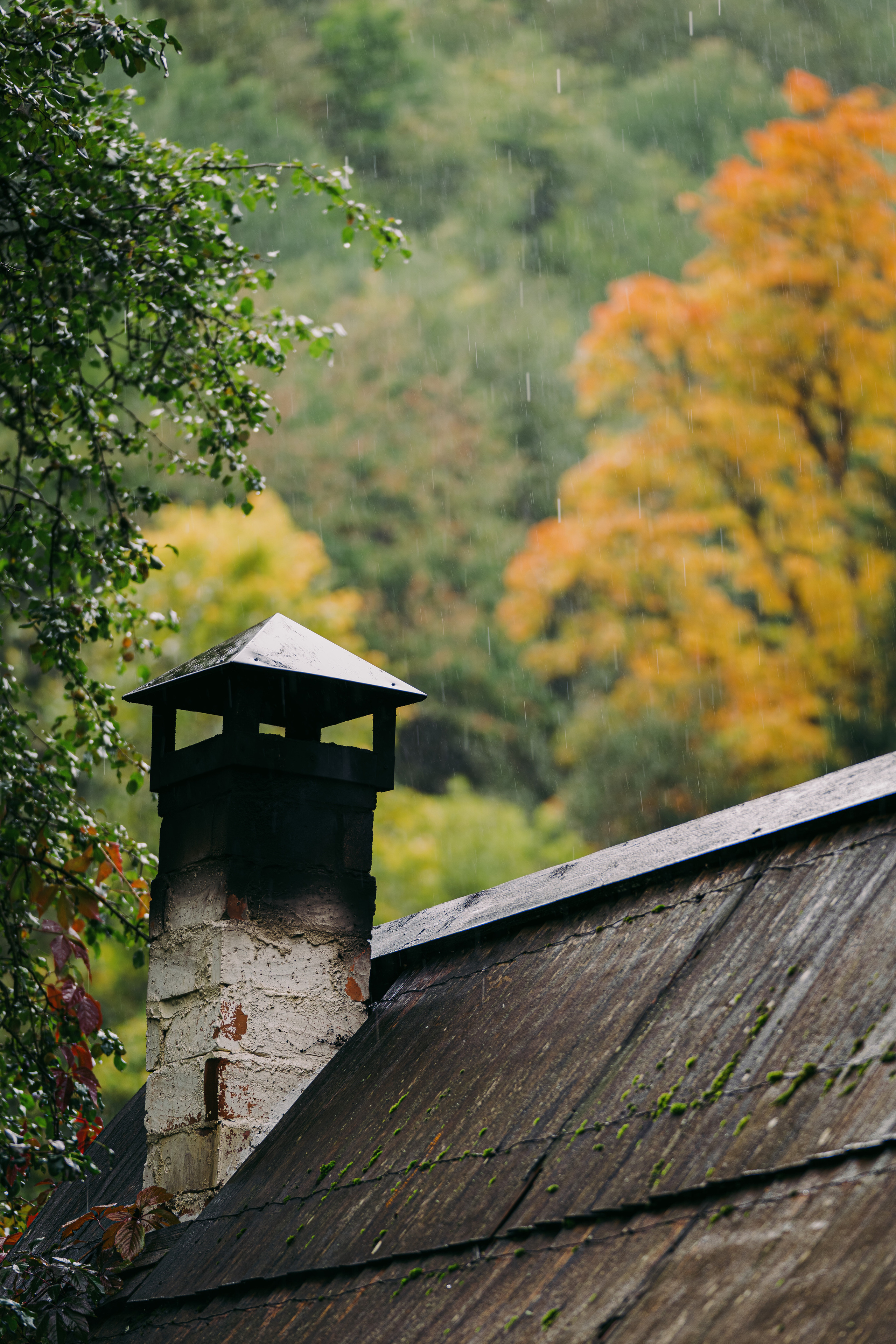 Закан, Россия