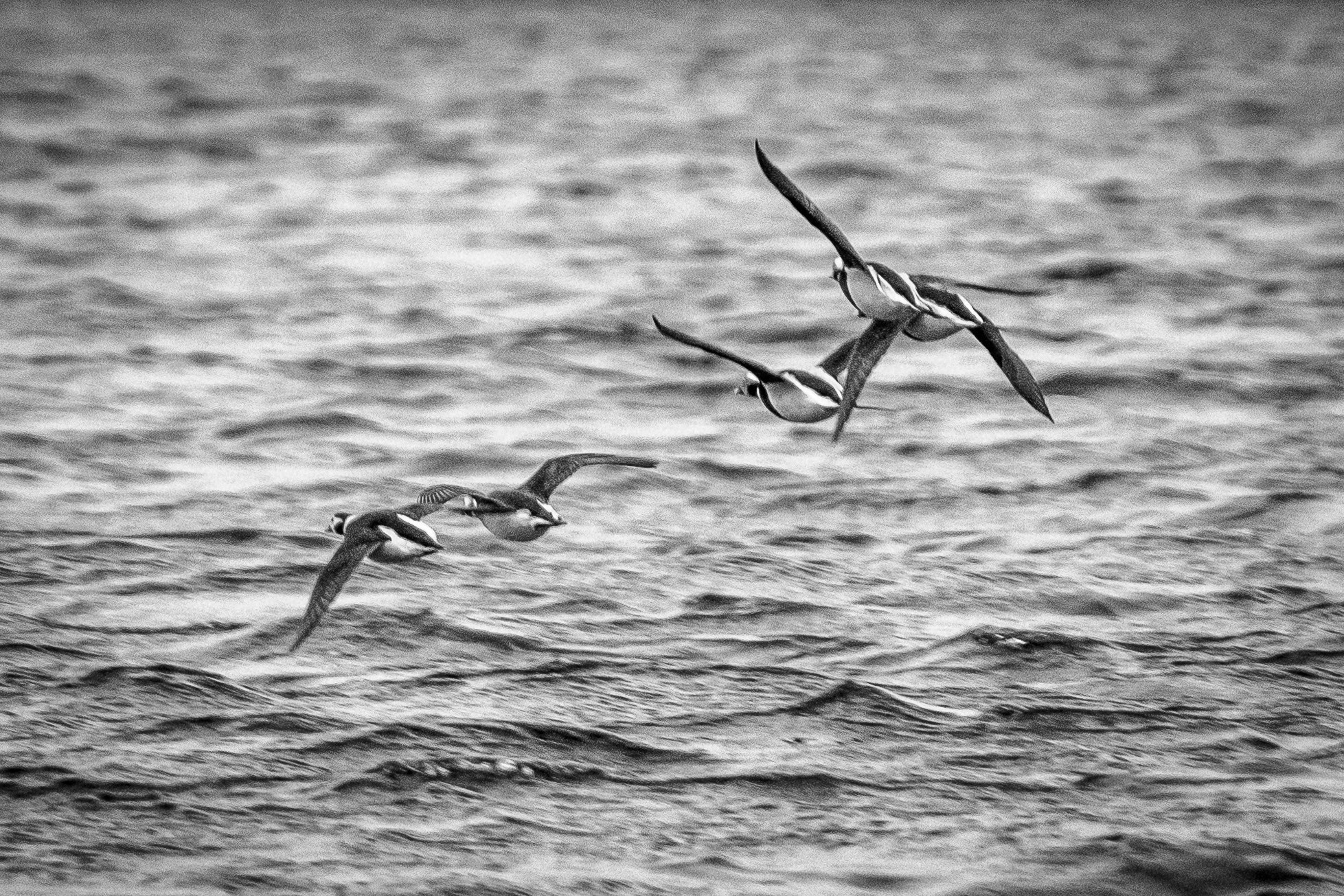 Полуострова Средний и Рыбачий. Фотографии Дмитрия Чернова