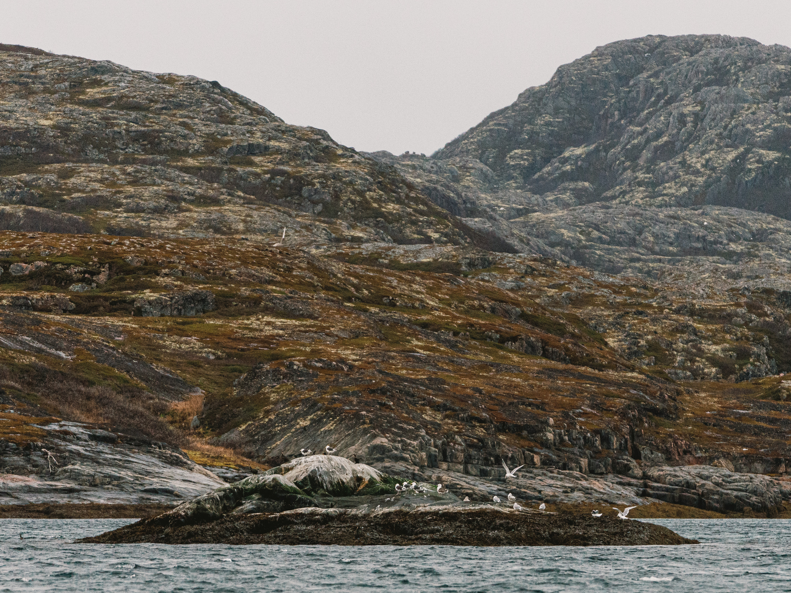 Полуострова Средний и Рыбачий. Фотографии Дмитрия Чернова