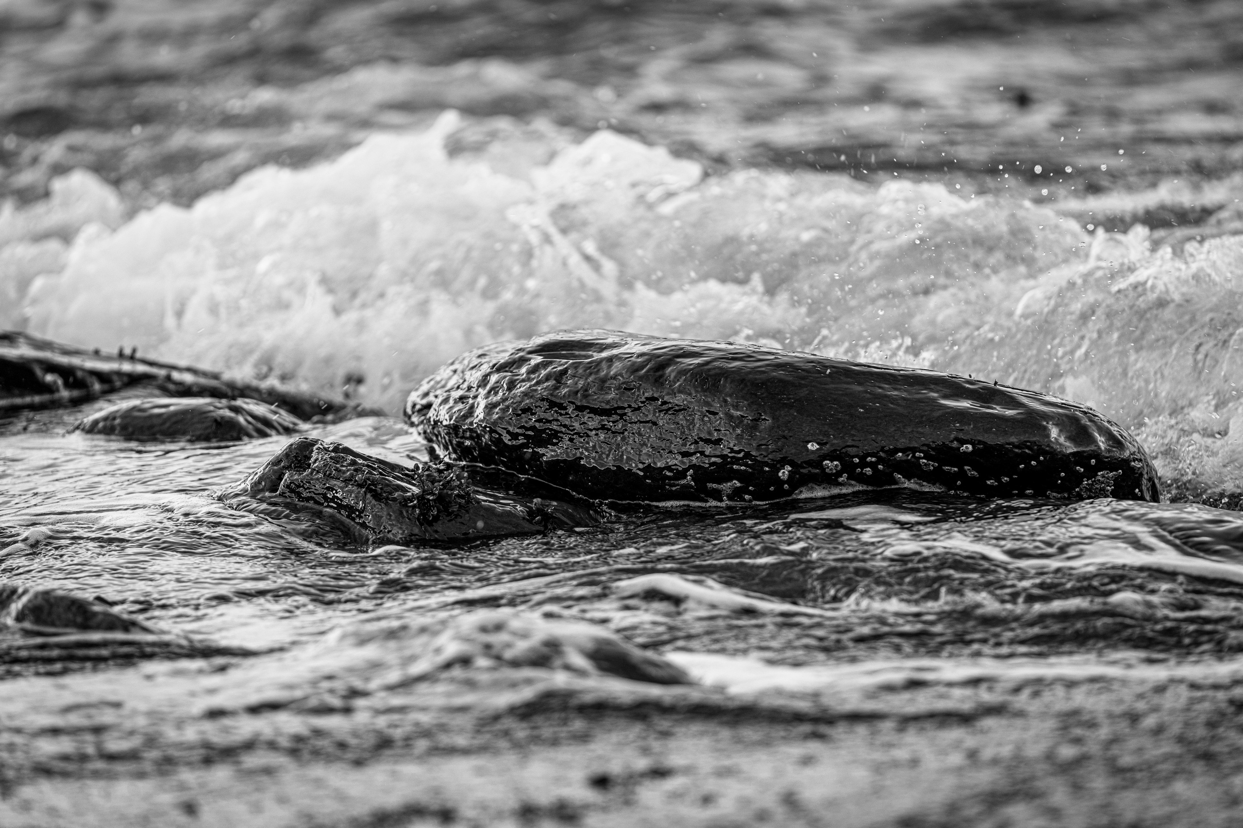 Полуострова Средний и Рыбачий. Фотографии Дмитрия Чернова