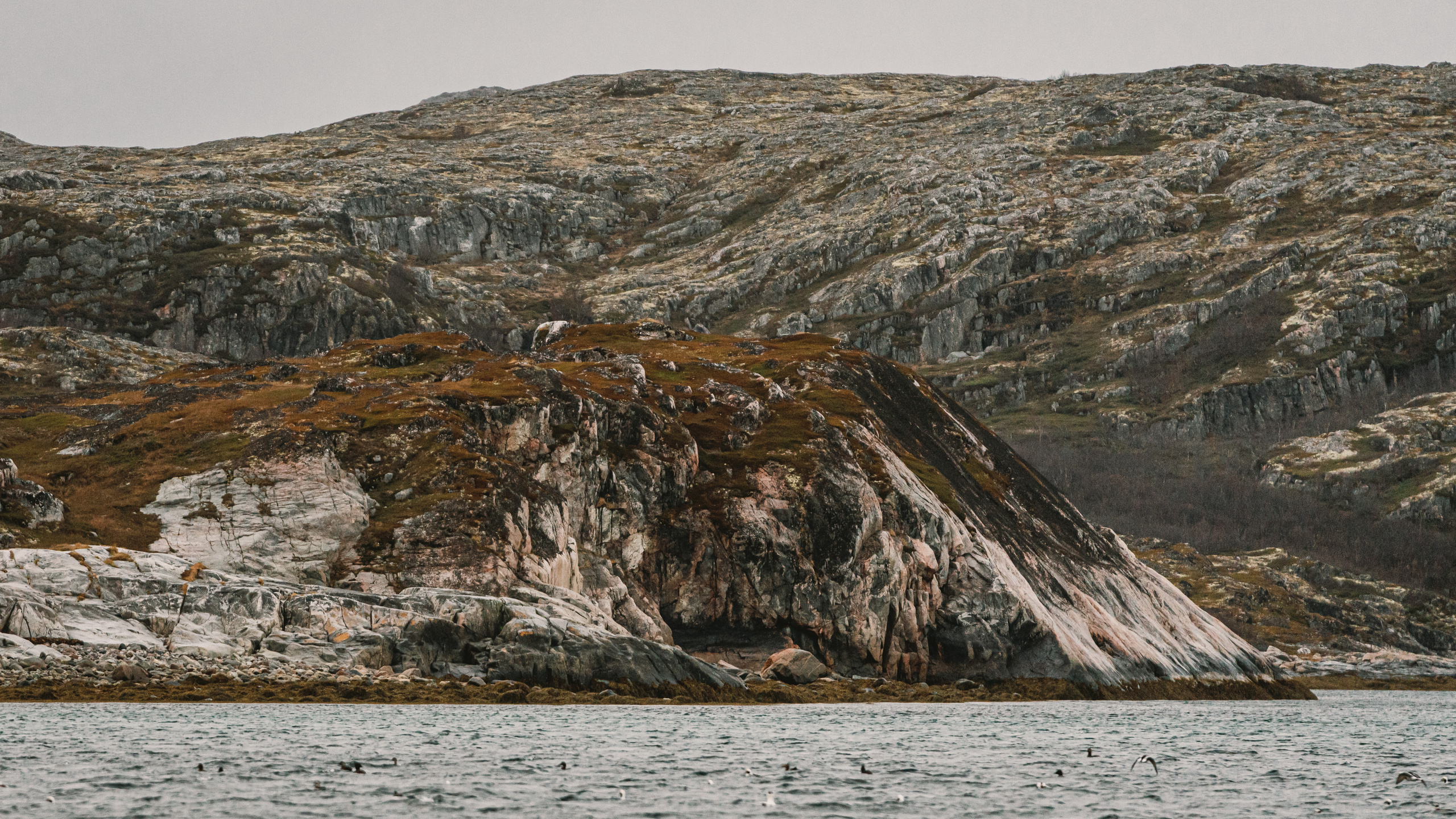 Полуострова Средний и Рыбачий. Фотографии Дмитрия Чернова