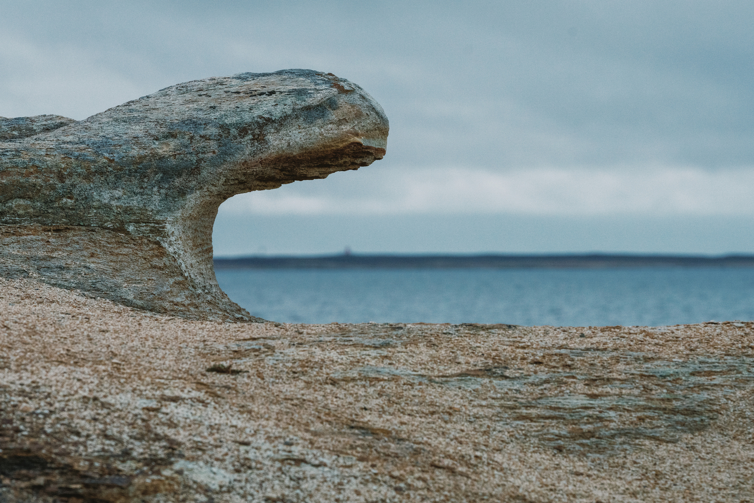 Полуострова Средний и Рыбачий. Фотографии Дмитрия Чернова