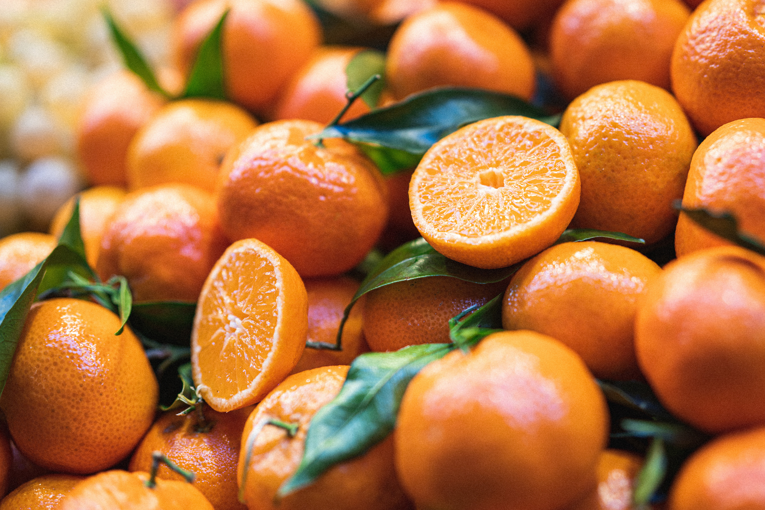 Bologna, may 2019. Фотографии Дмитрия Чернова