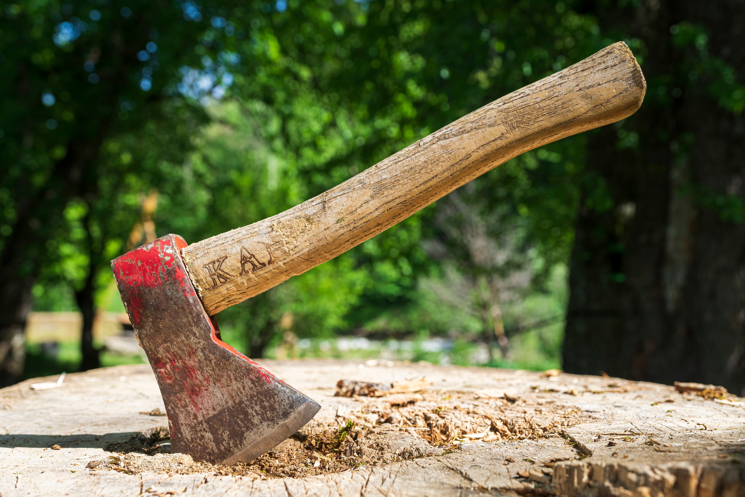 Волшебный Закан. Фотографии Дмитрия Чернова