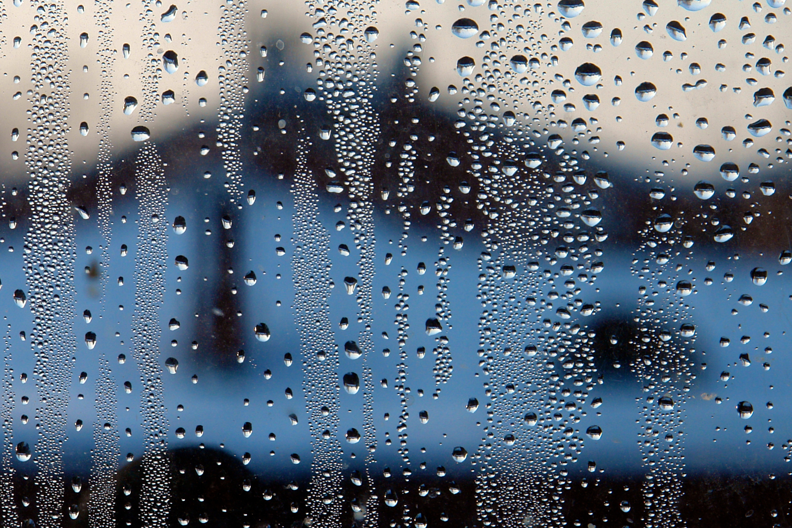 Стрельна, Санкт-Петербург, Россия