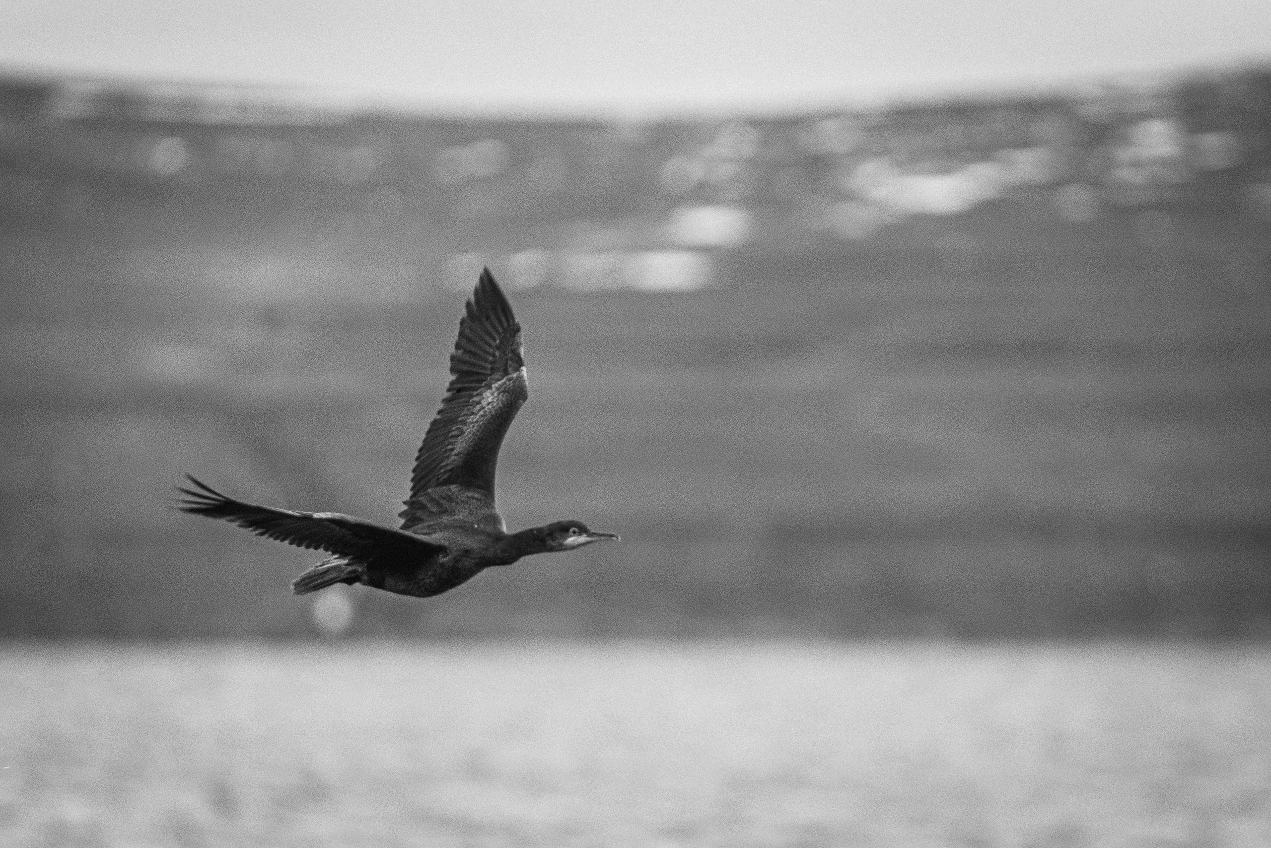 Полуострова Средний и Рыбачий. Фотографии Дмитрия Чернова