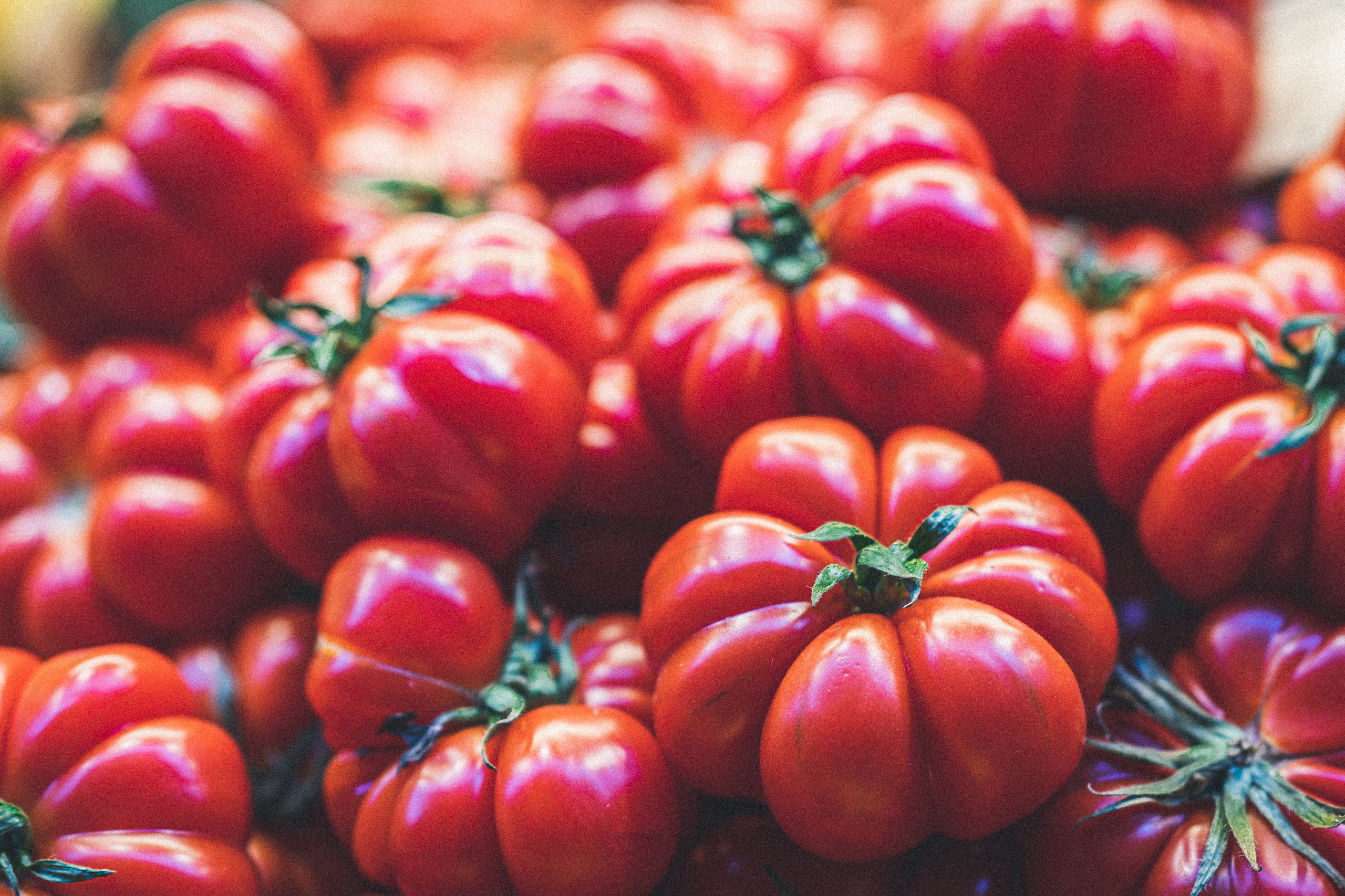 Bologna, may 2019. Фотографии Дмитрия Чернова