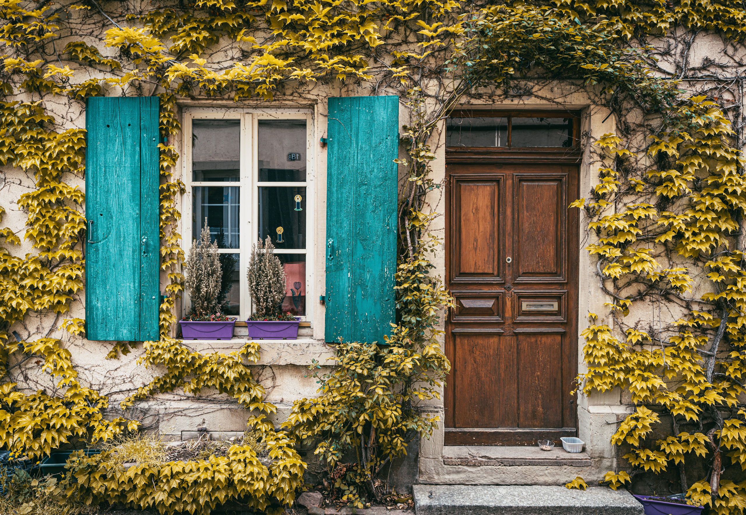 Колмар, Эльзас, Франция