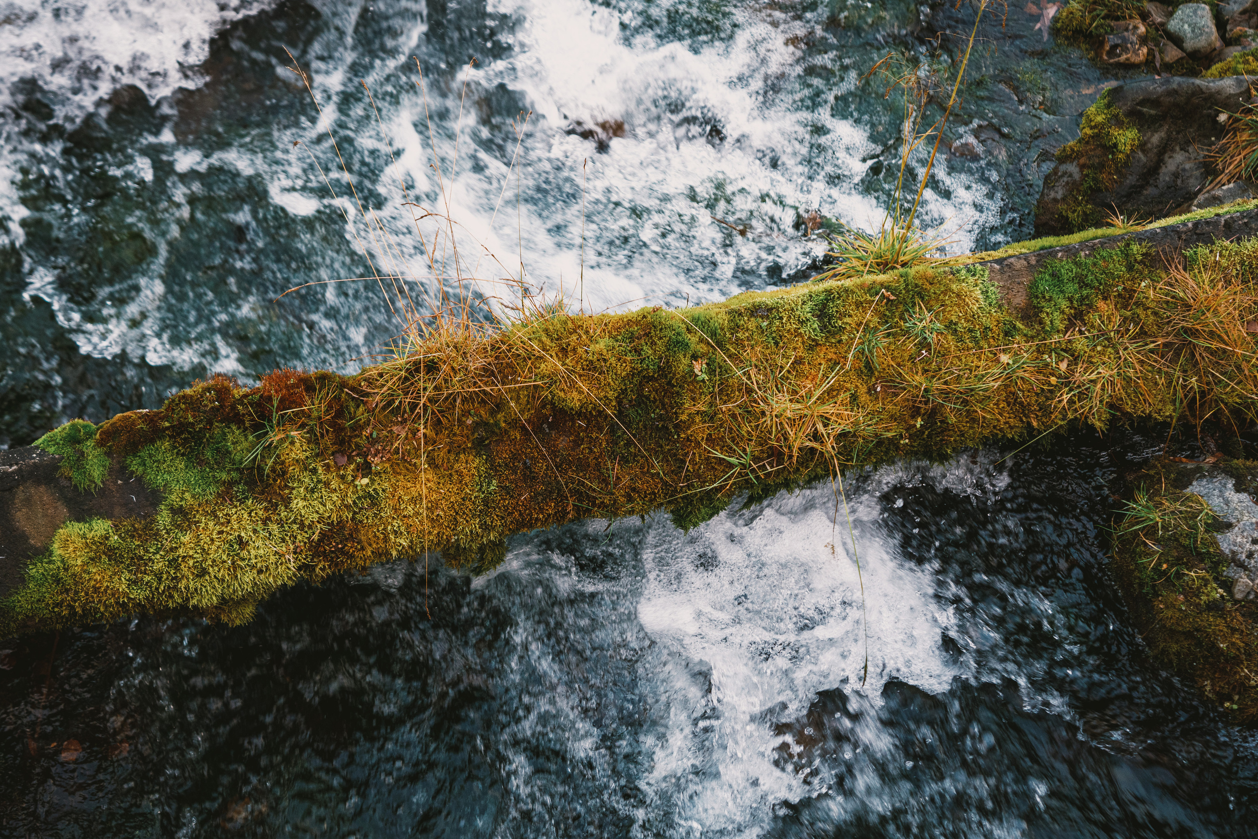 Полуострова Средний и Рыбачий. Фотографии Дмитрия Чернова