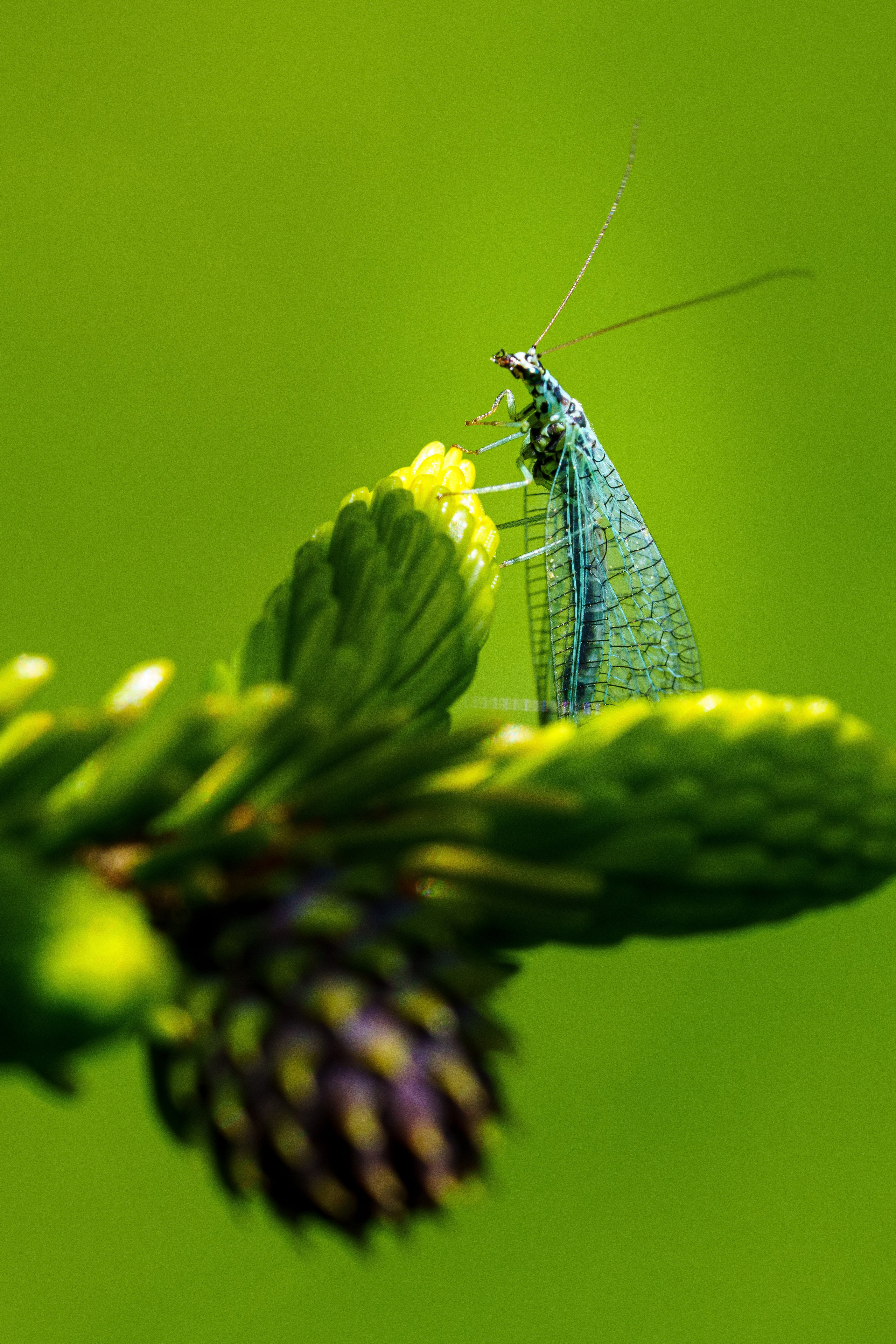 Волшебный Закан. Фотографии Дмитрия Чернова