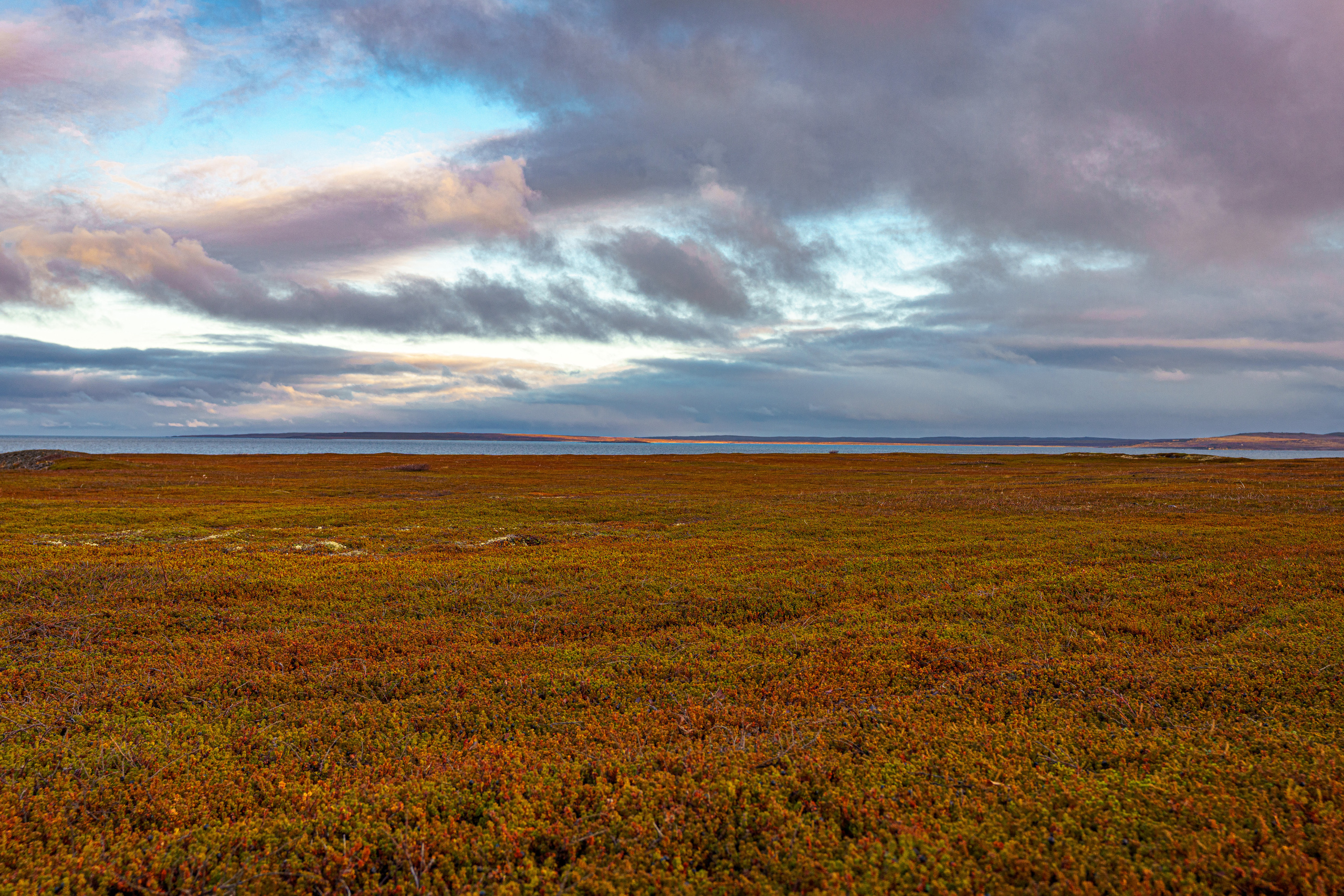 Полуострова Средний и Рыбачий. Фотографии Дмитрия Чернова