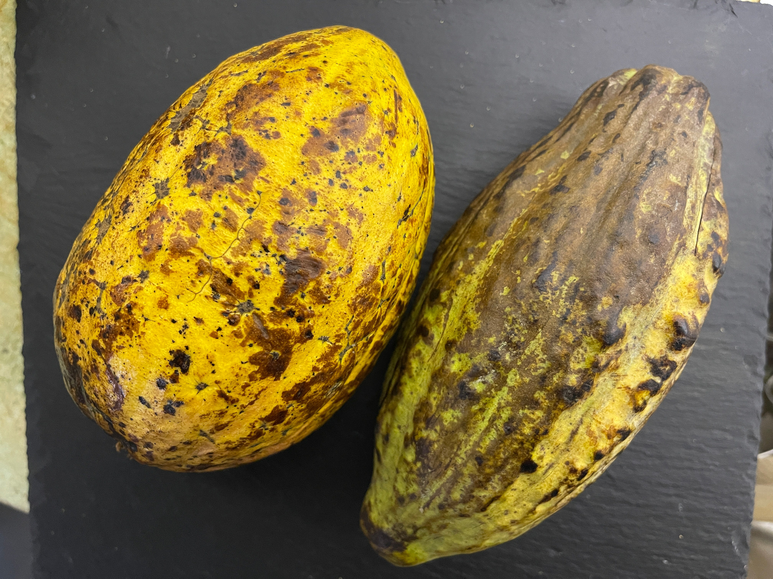 Экскурсии на кондитерскую фабрику