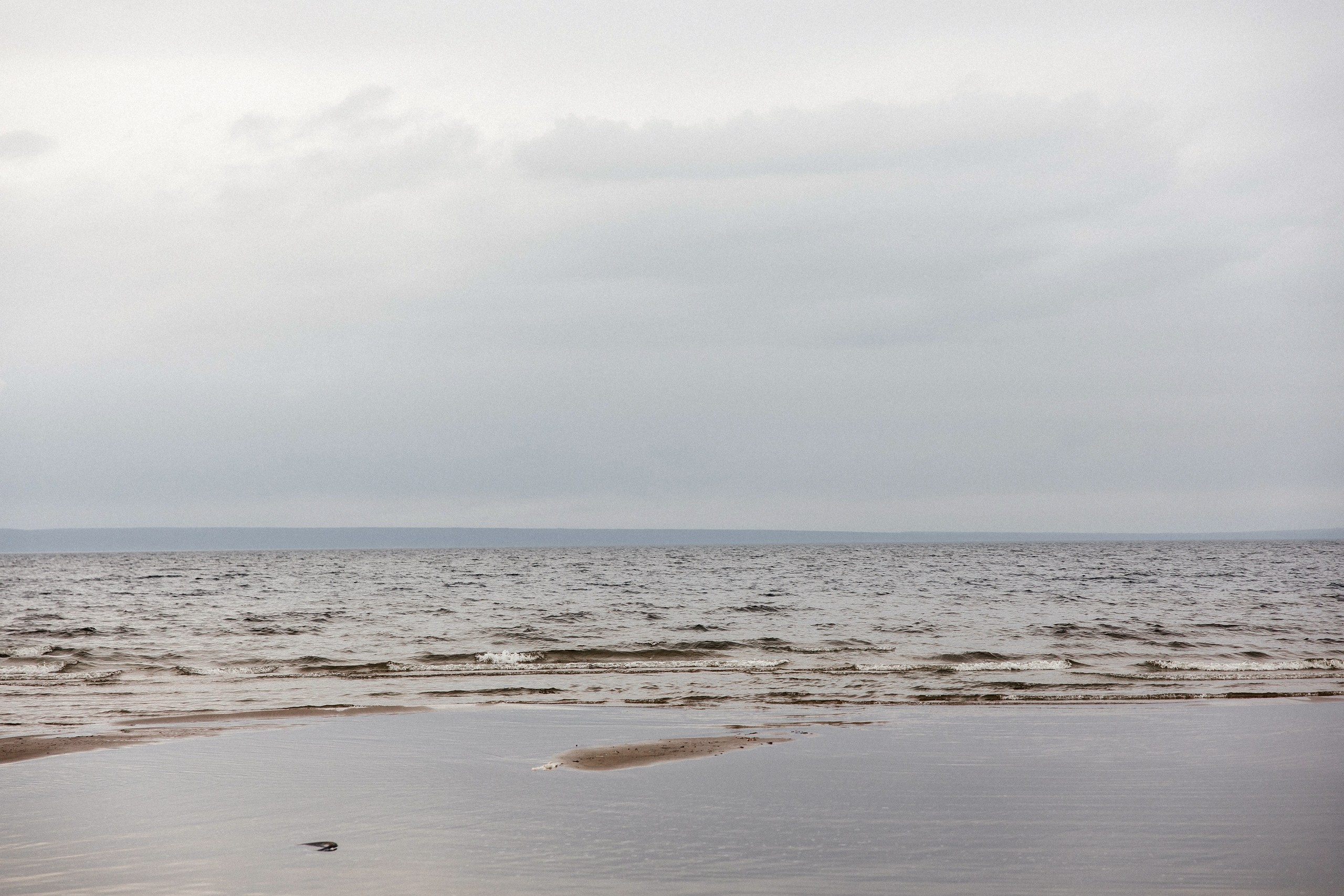 SPRING. Свадебный фотограф в Ульяновске Владимир Лесников