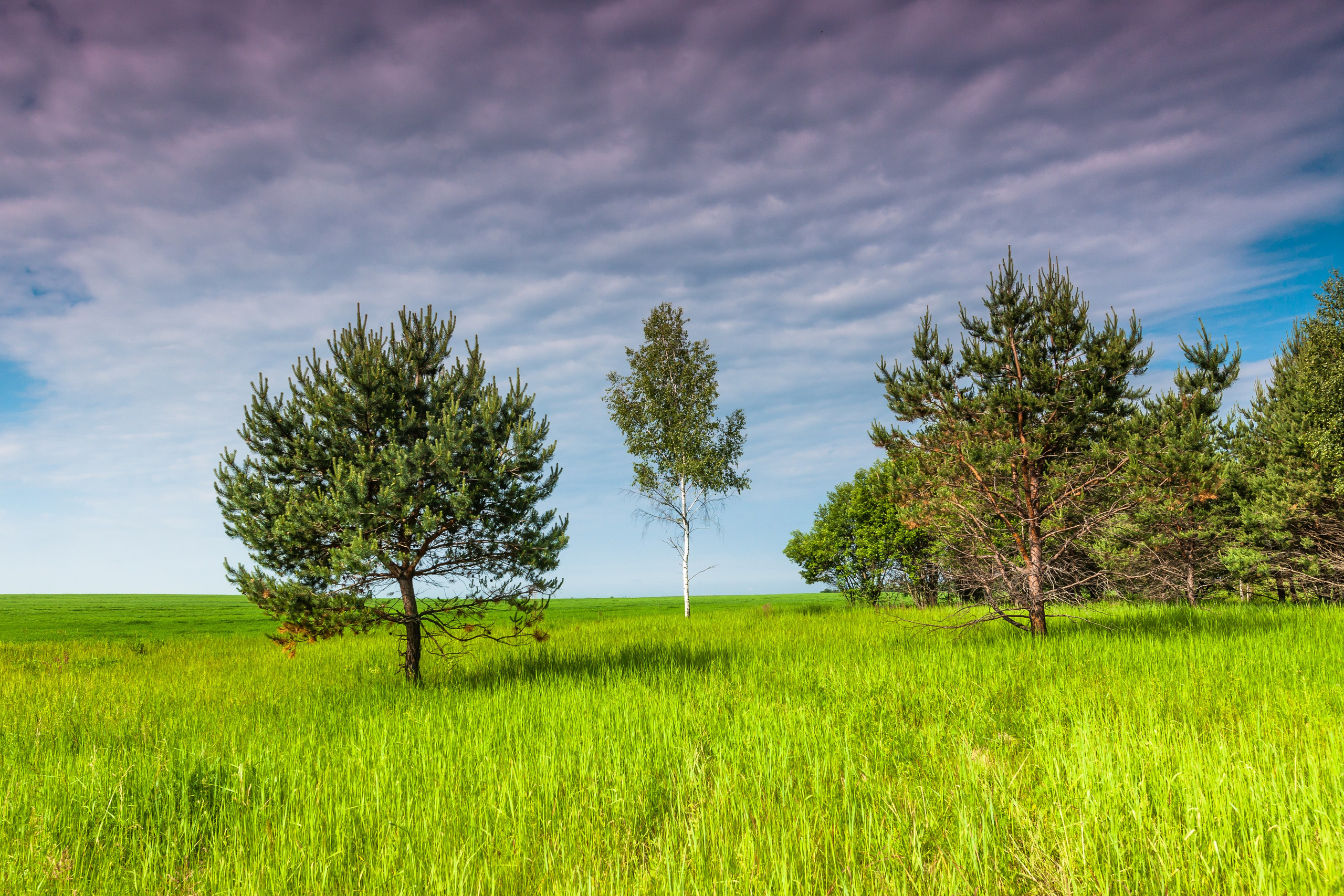 Брянская область. Климово. Фотограф Иван Губанов