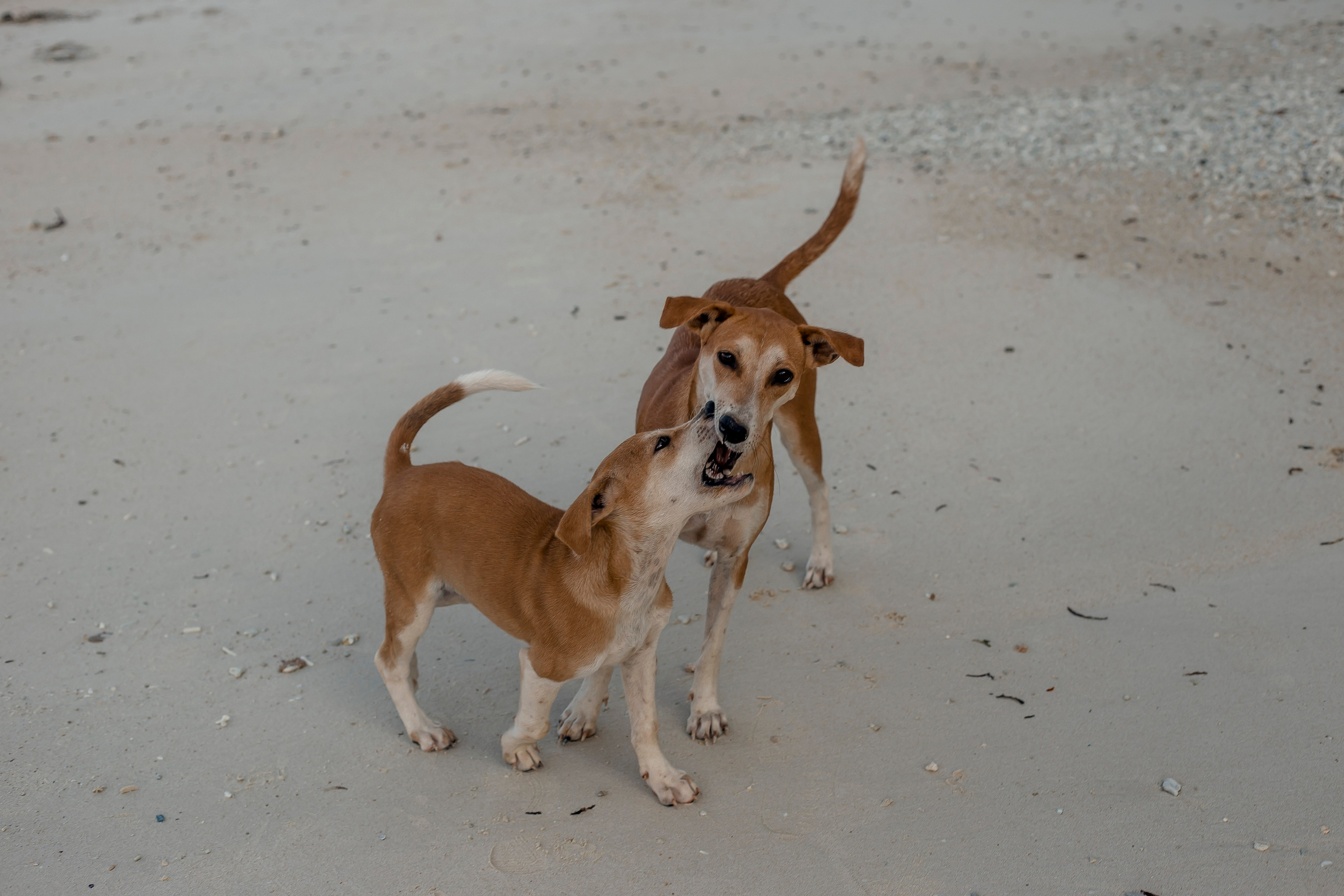 Andaman Islands, Part2. Art Photographer