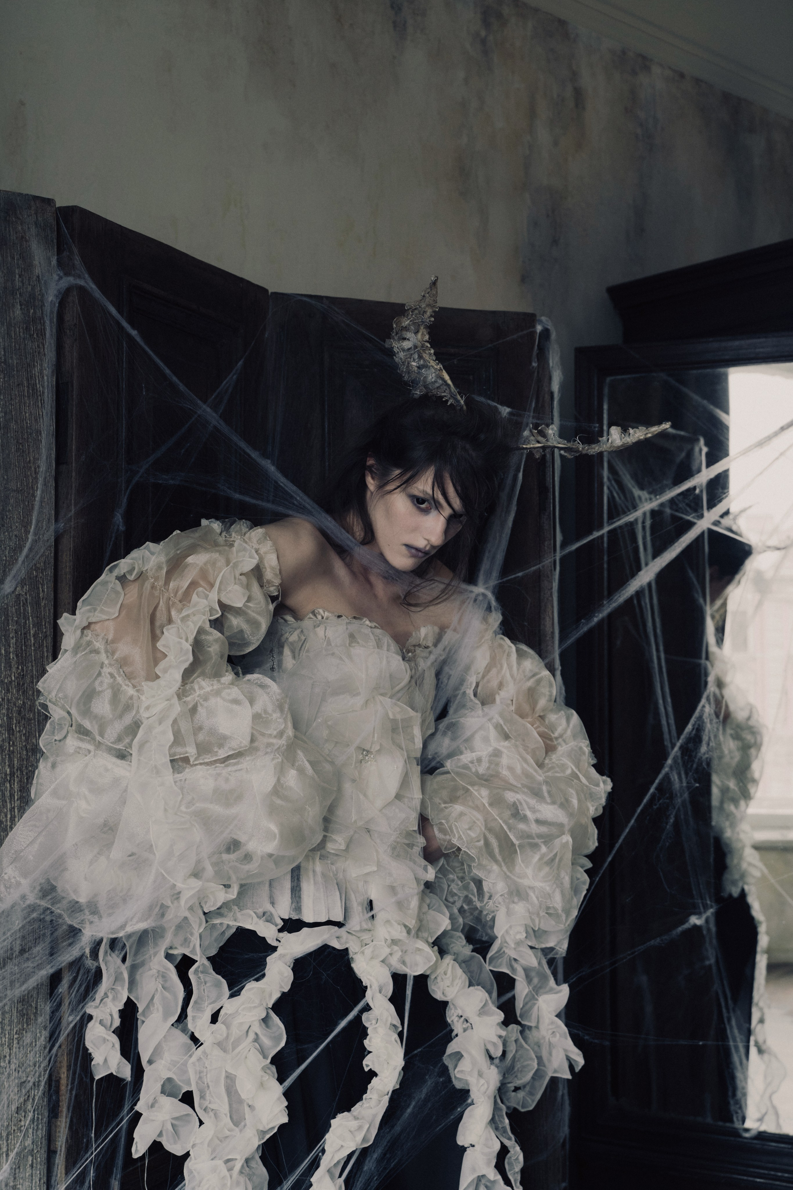 Моль. Фотограф Anita Mivchas
