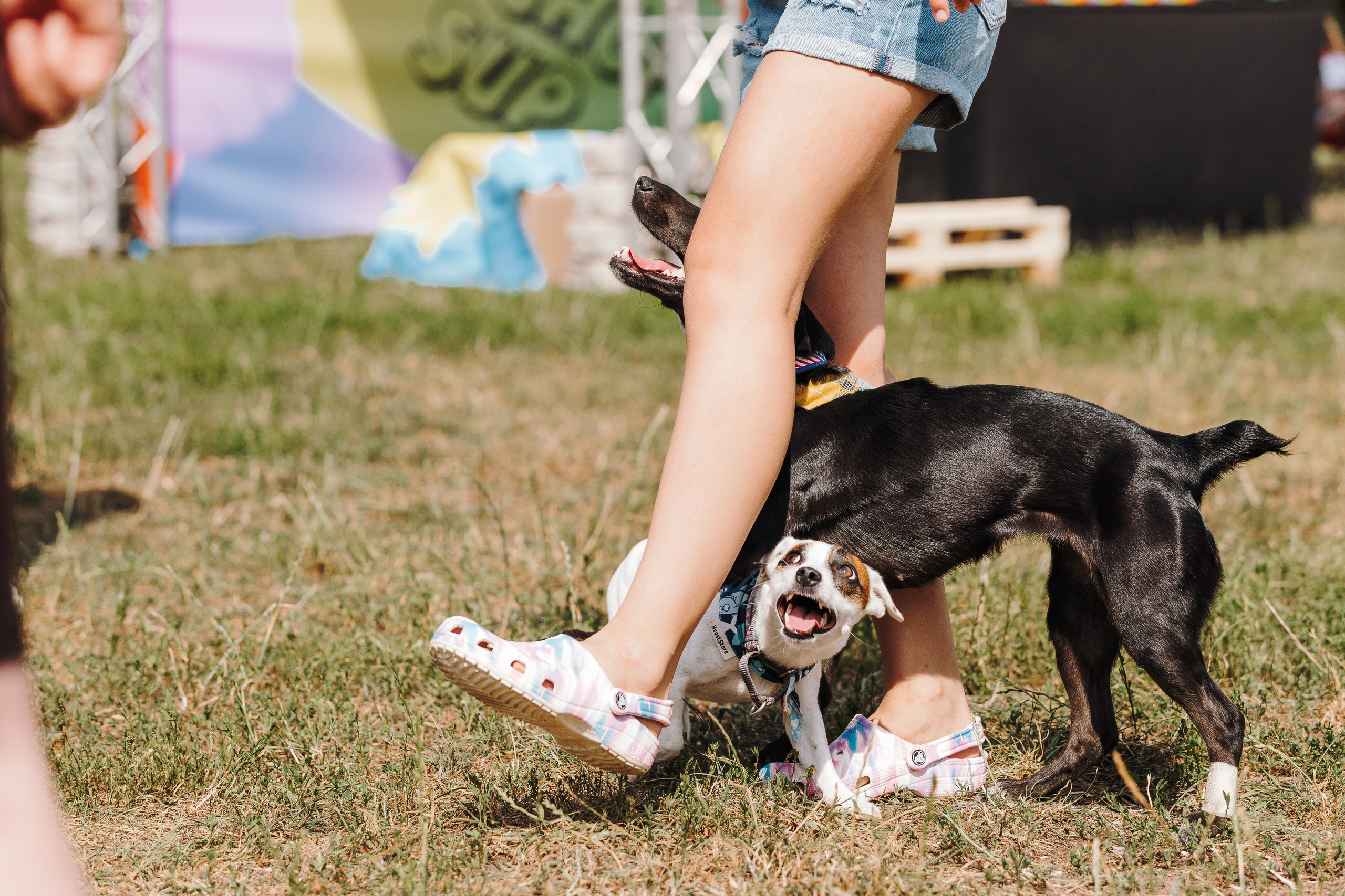 Petshop Sup day. Фотограф анималист Кристина Карпова, Москва