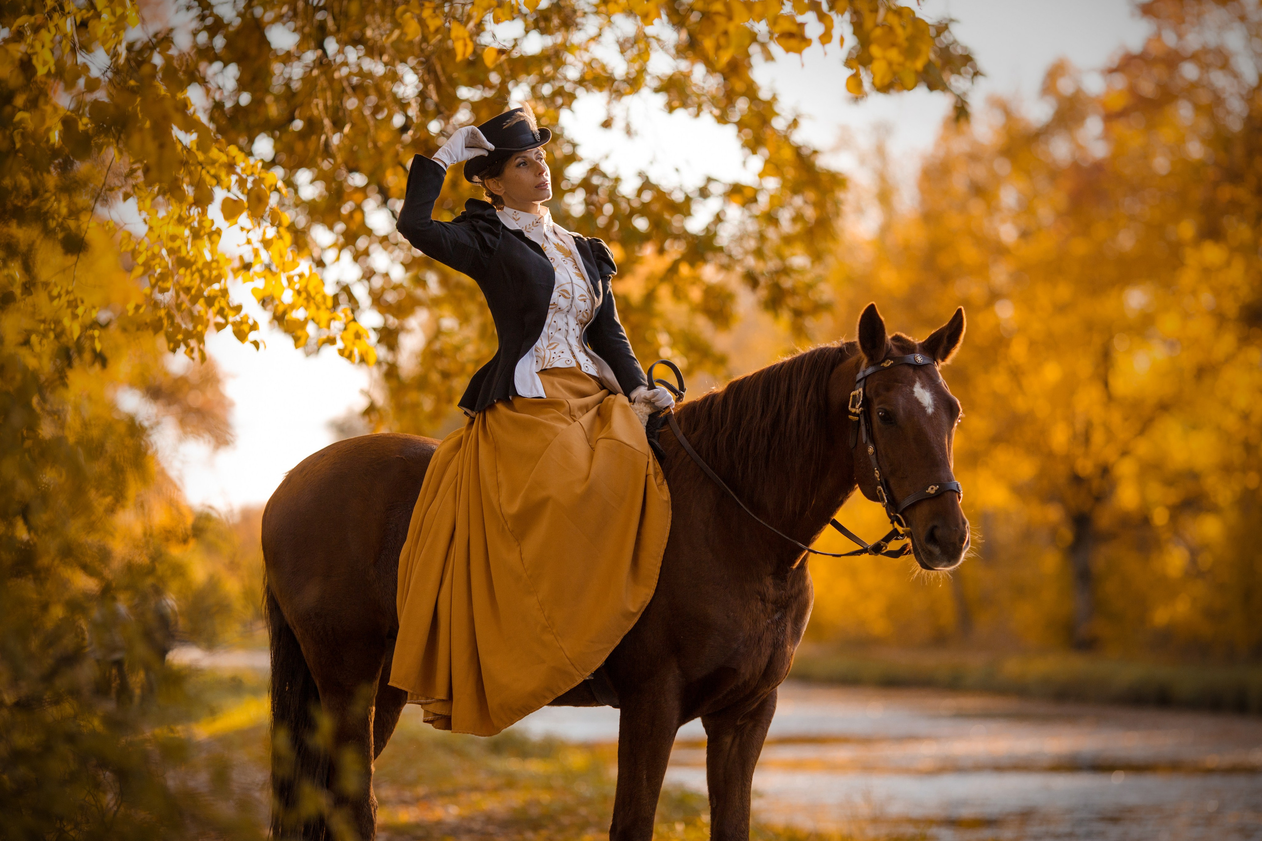 Фотосессия в историческом стиле с борзыми