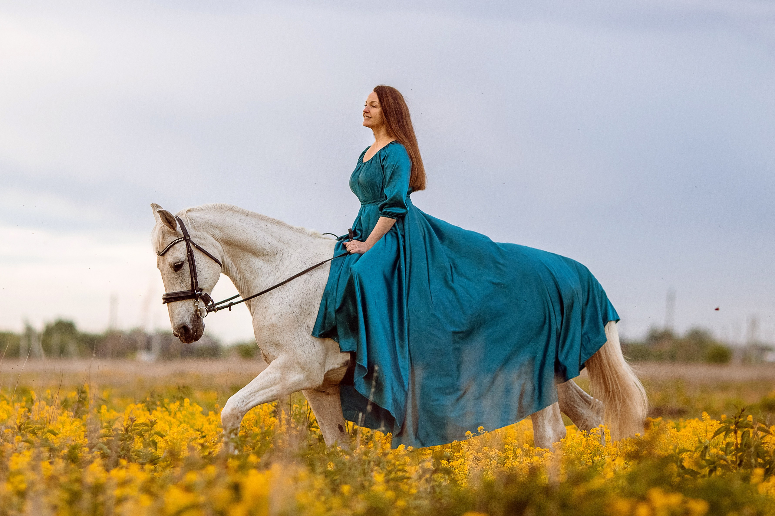 Фотосессия с лошадью в желтом цветущем поле