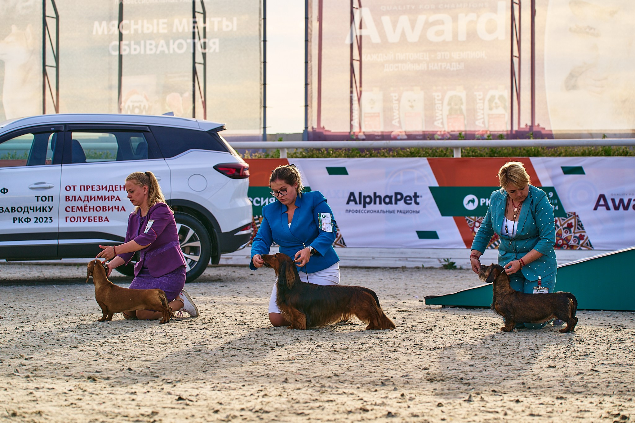 08.06.2024 «РОССИЯ. КУБОК РКФ 2024»