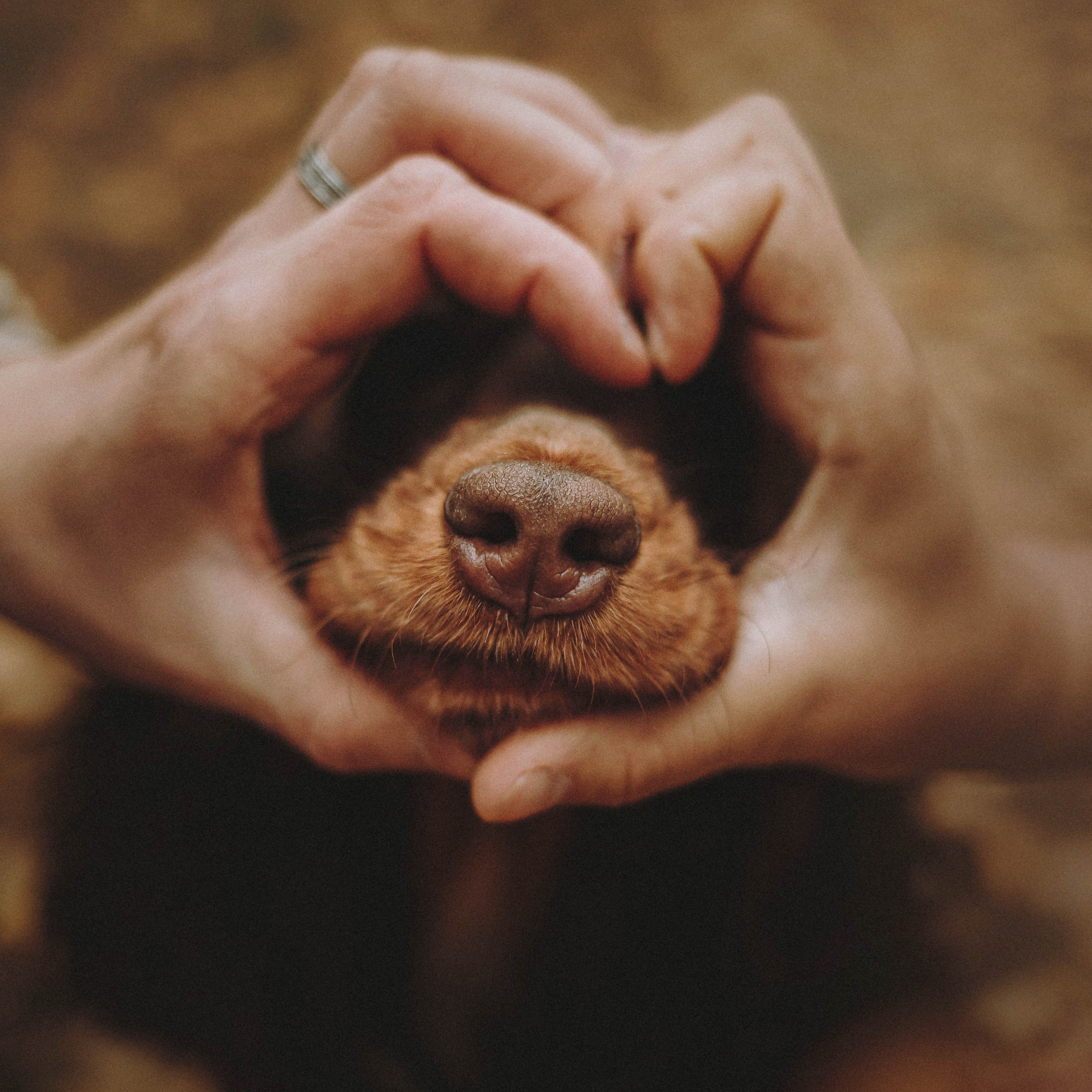 Настя, Саша и Эстер