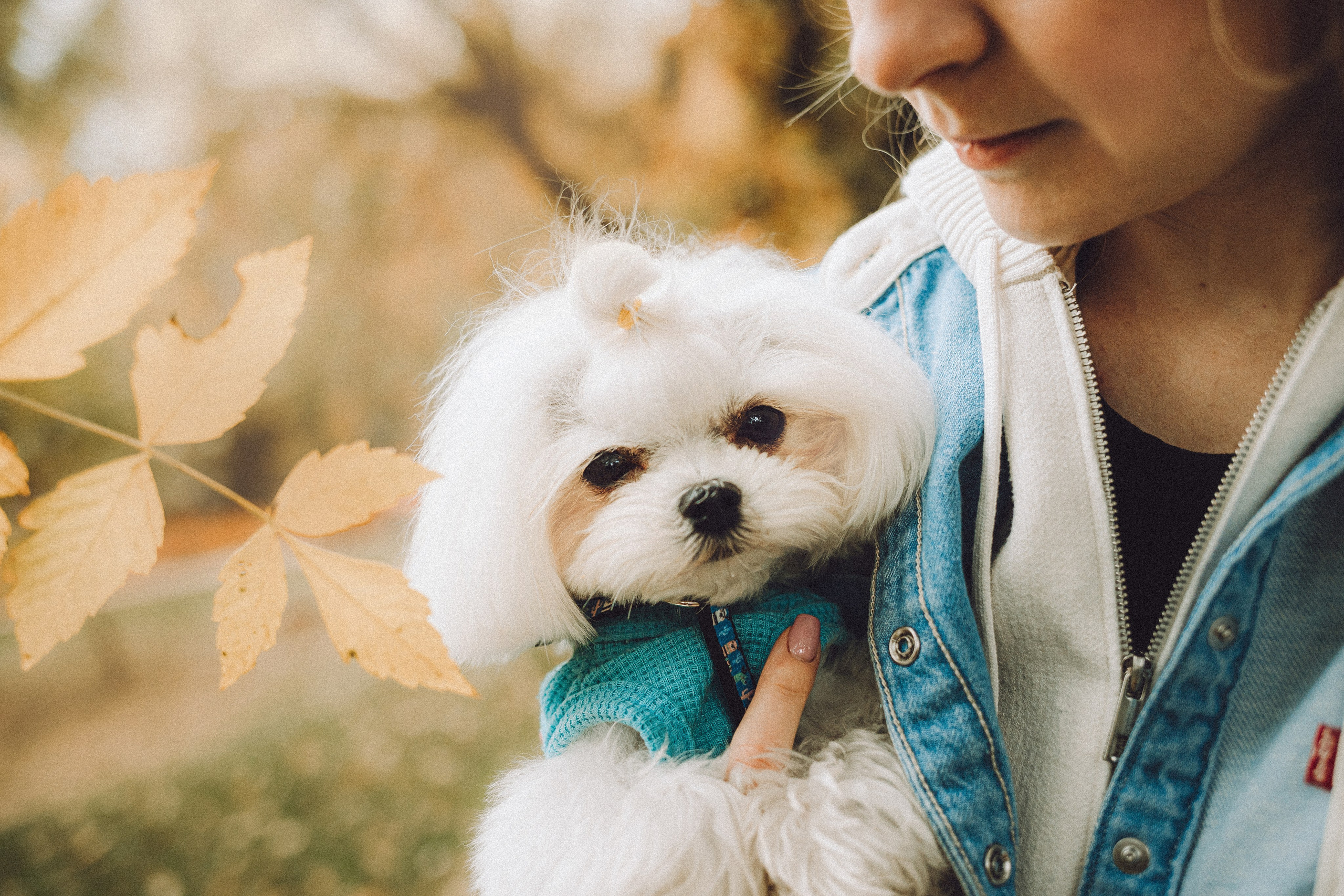 Настя и Гоша