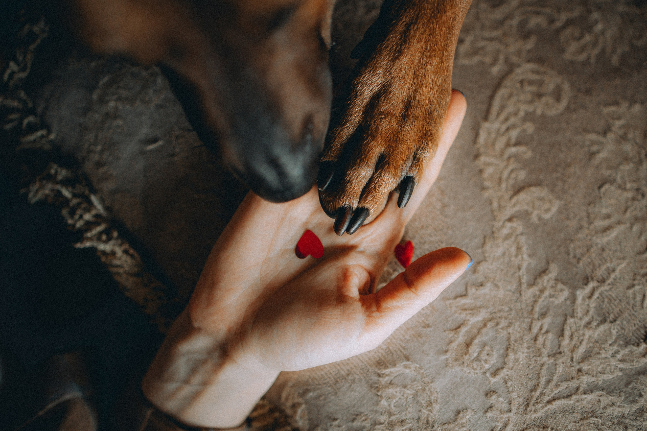 Оксана и Зевс