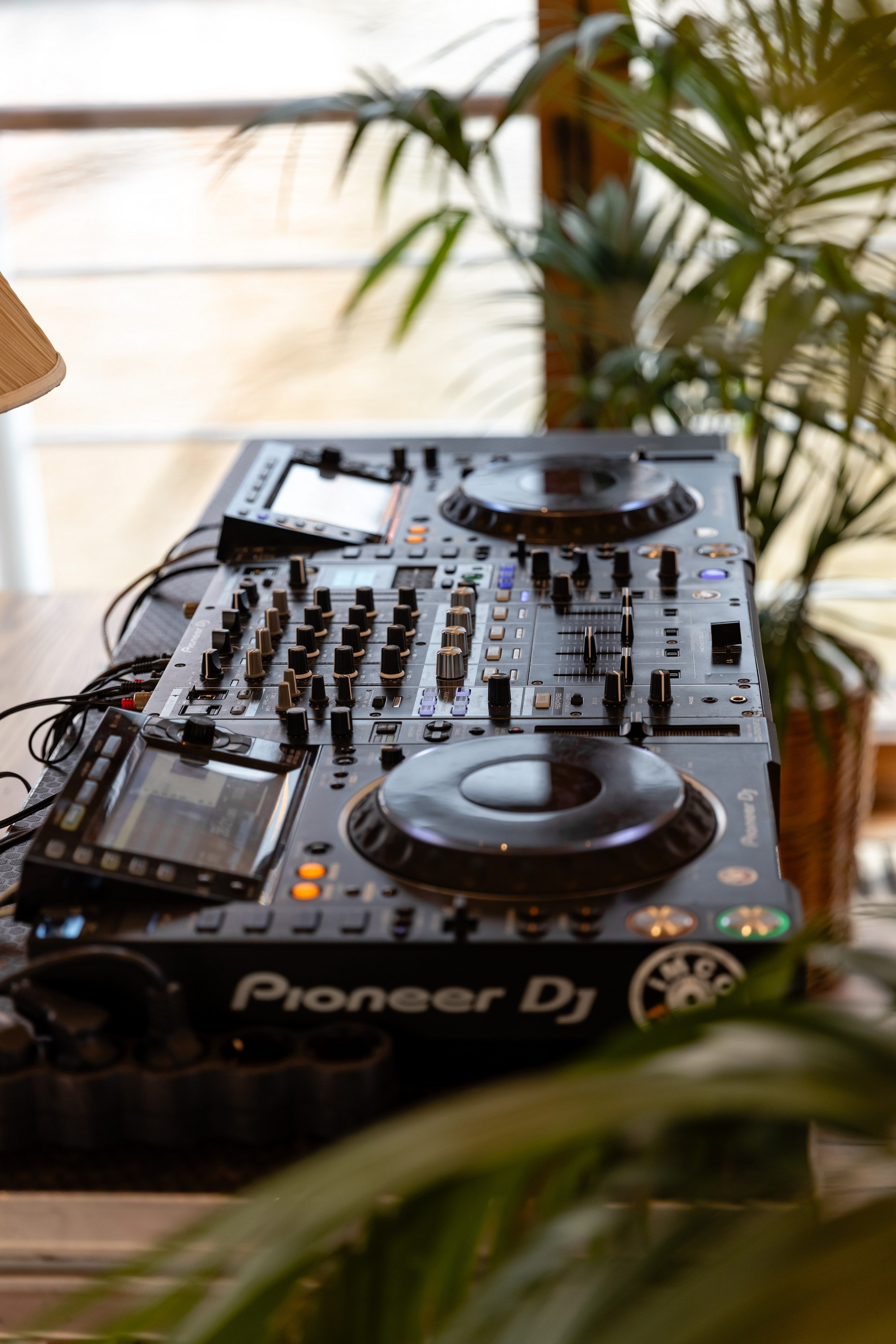 USF Rolf 2025. Свадебный фотограф Москва