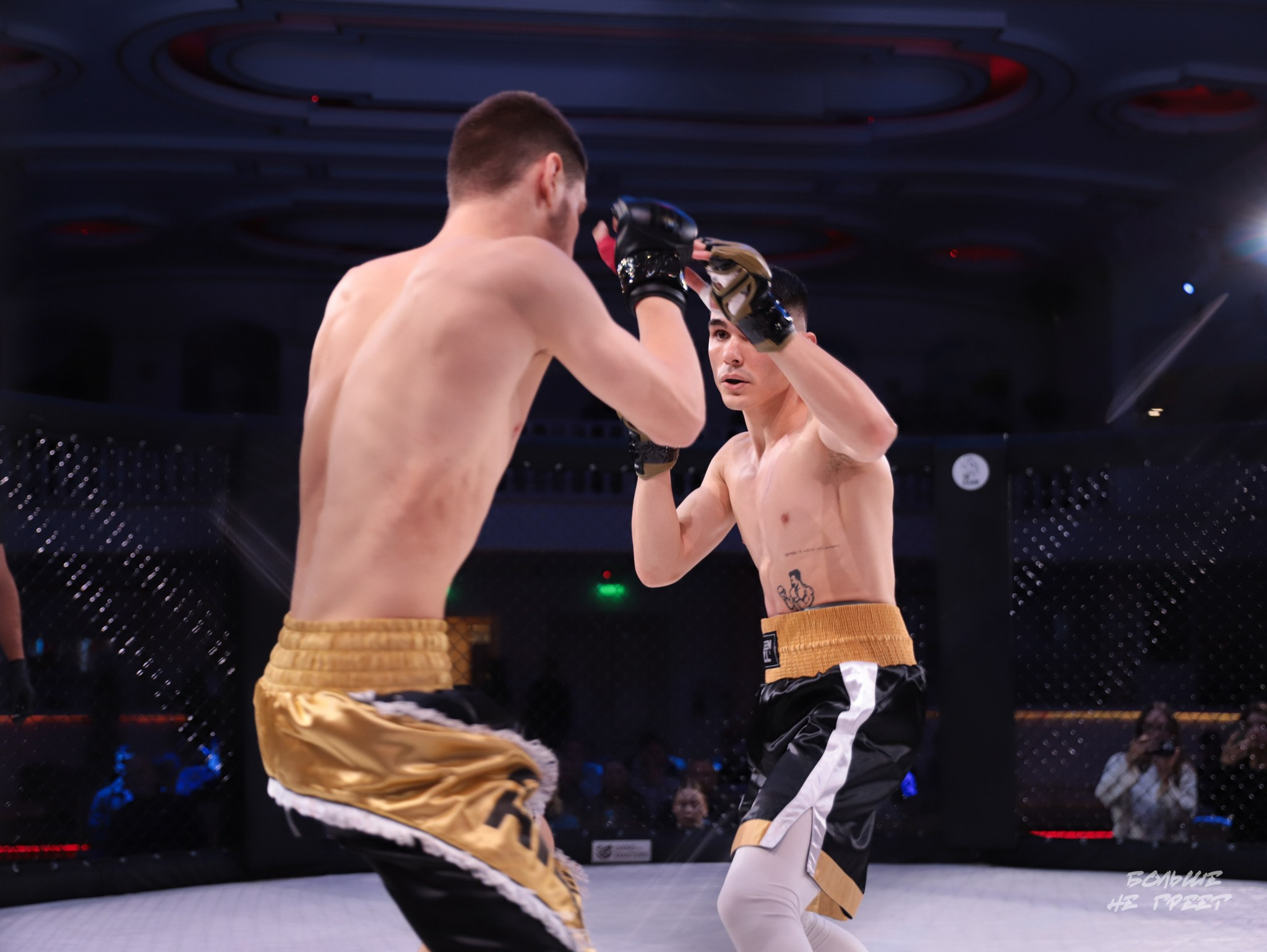 SABR FIGHTING. Больше не греет