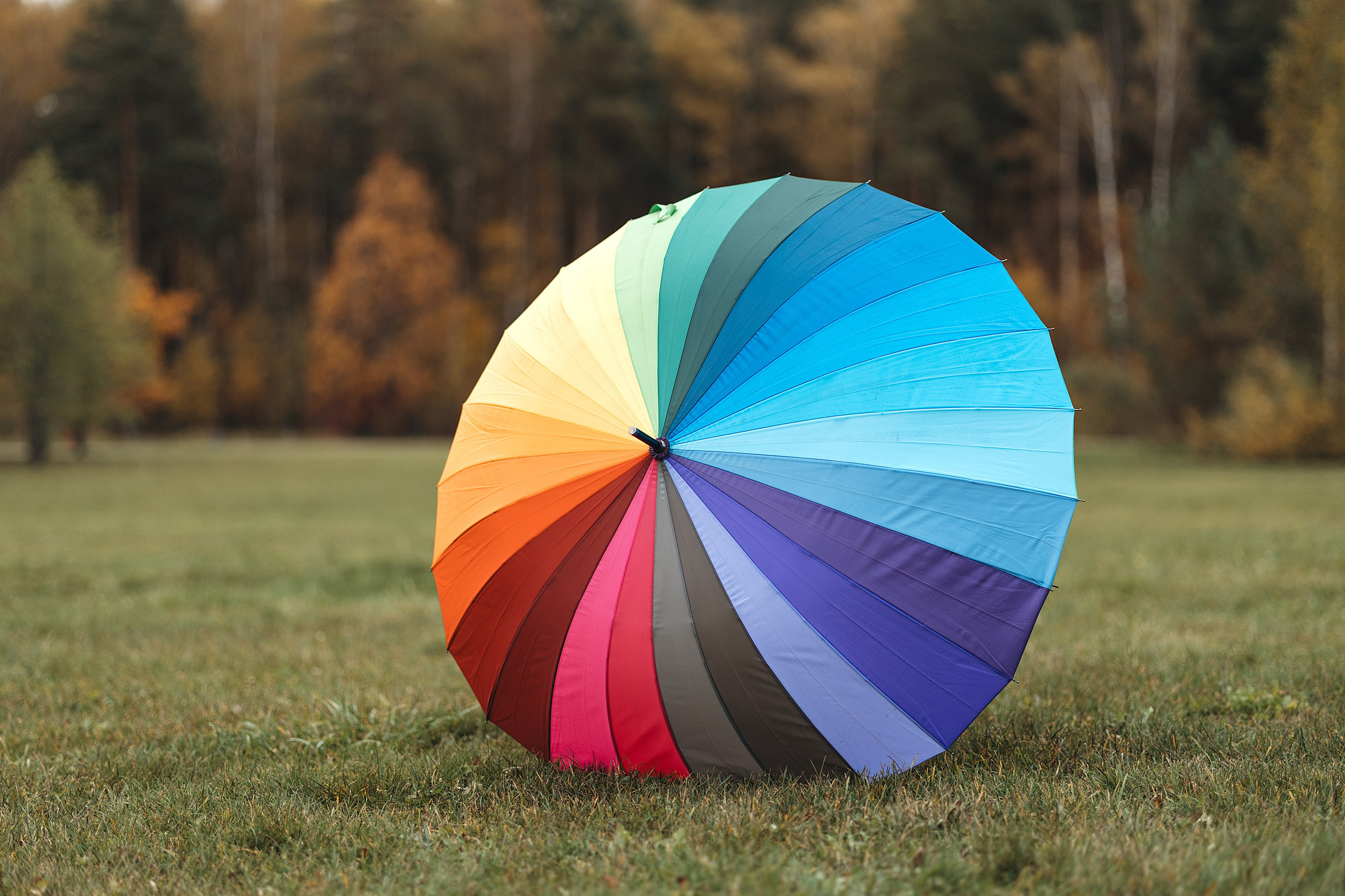 Осенняя семейная съемка. Фотограф Анималист в Москве Анастасия Жучкова