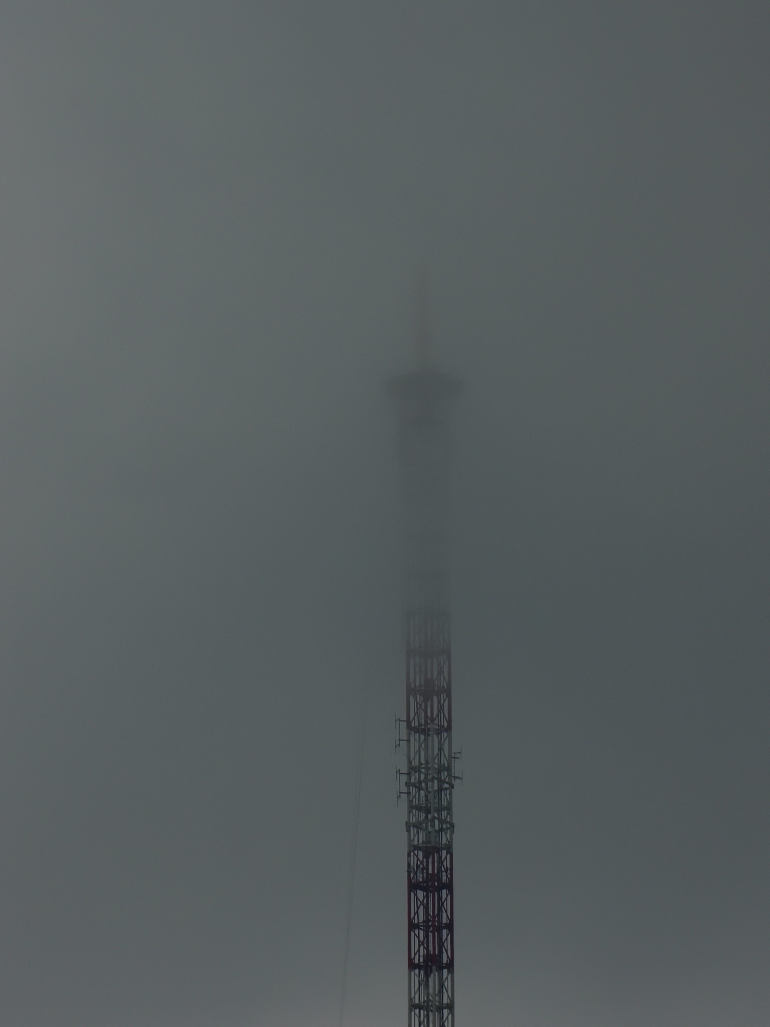 Август 2025. Den Mirov — Фотограф, Музыкант